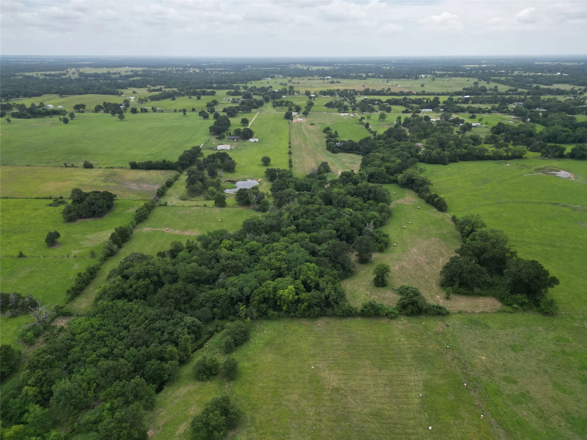 Expansive aerial showcasing a verdant landscape with open fields and dense tree clusters