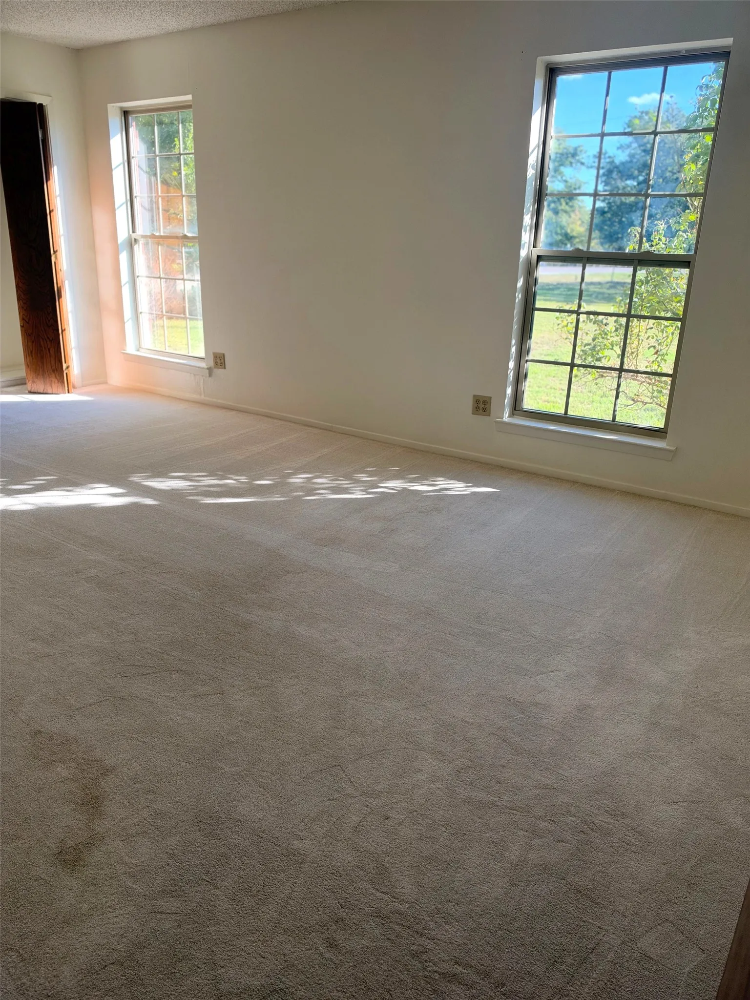 Wall-to-wall carpeting with neutral tone, white walls, and multiple large windows with muntins