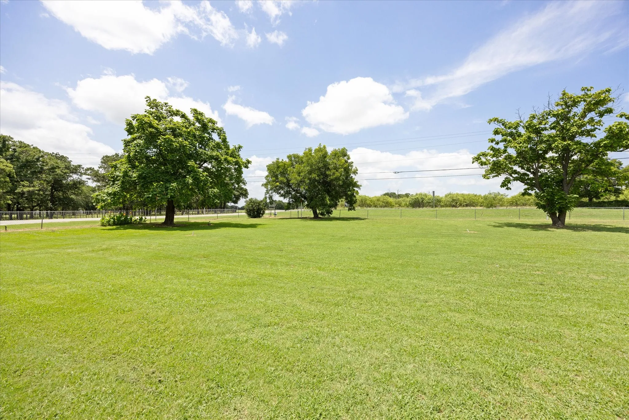 Expansive green lawn with mature trees and a chain-link fence