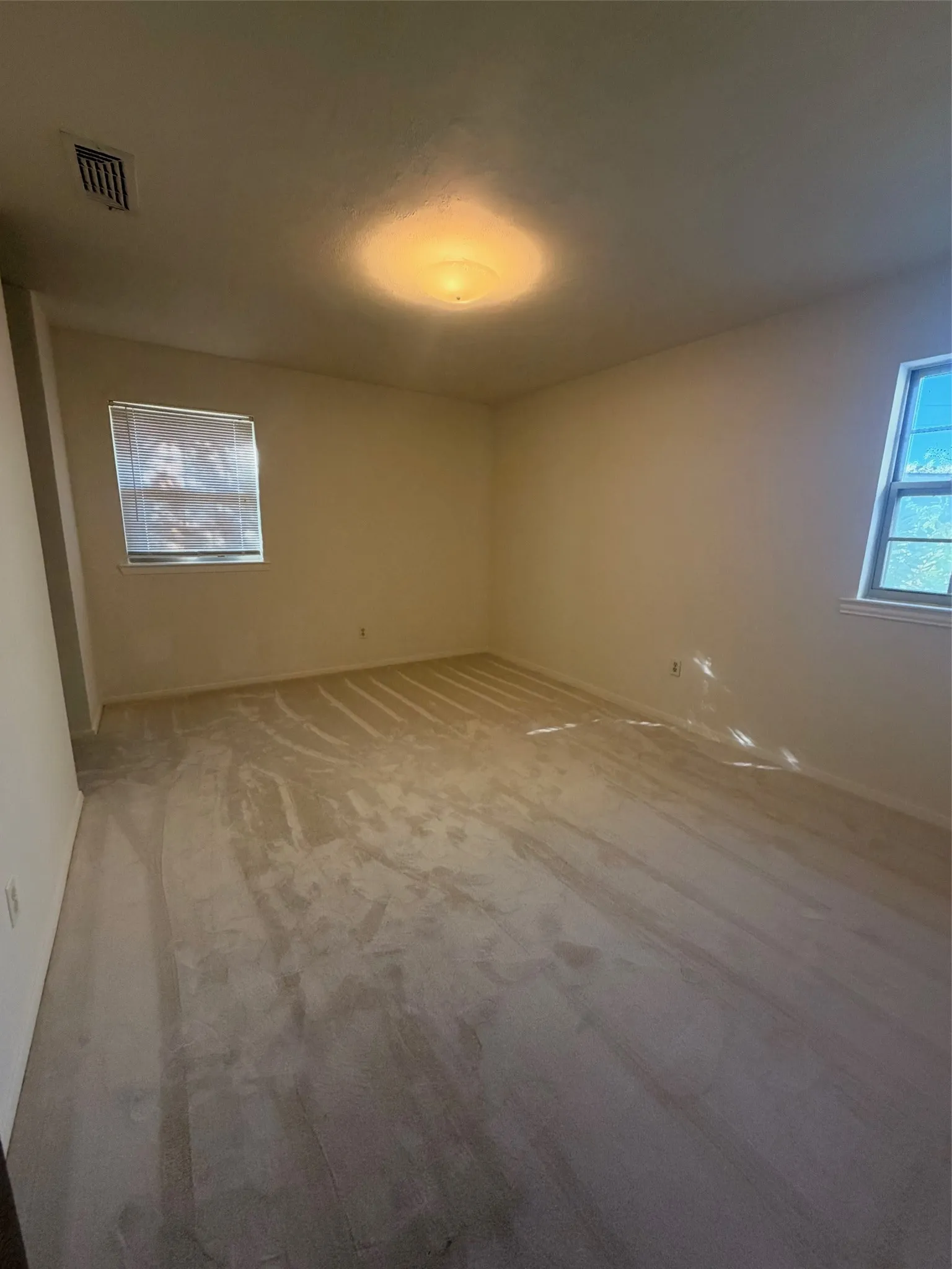 Recessed ceiling light fixture, two windows, wall-to-wall carpeting, and neutral wall tones