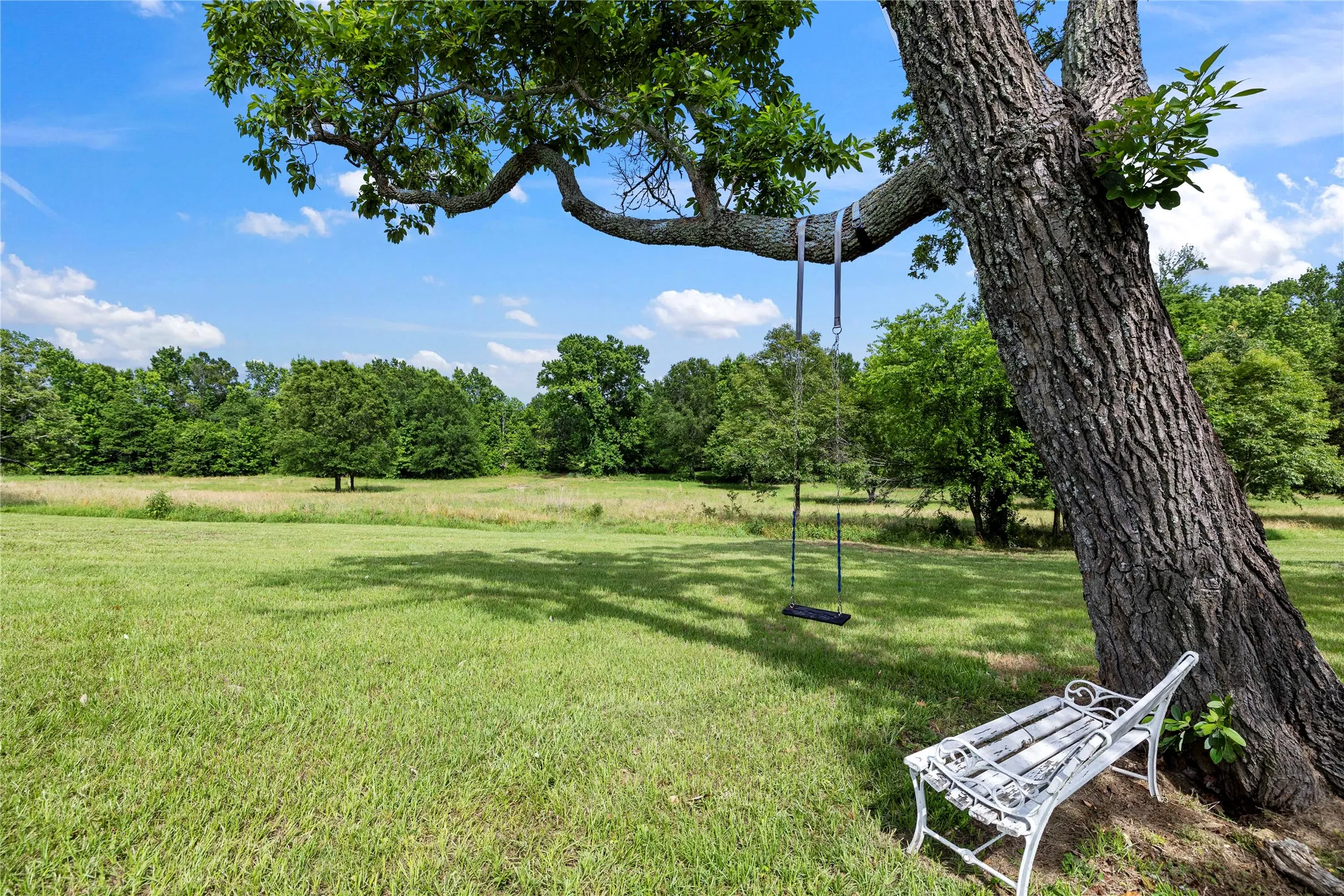 Expansive grassy area featuring mature trees and a swing