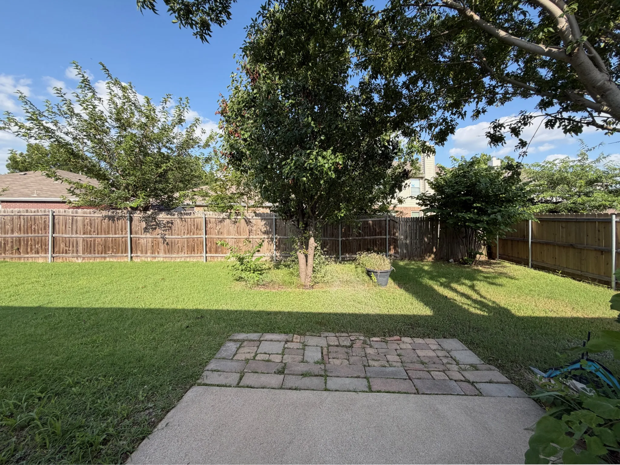 Beautiful backyard with some trees and good shade