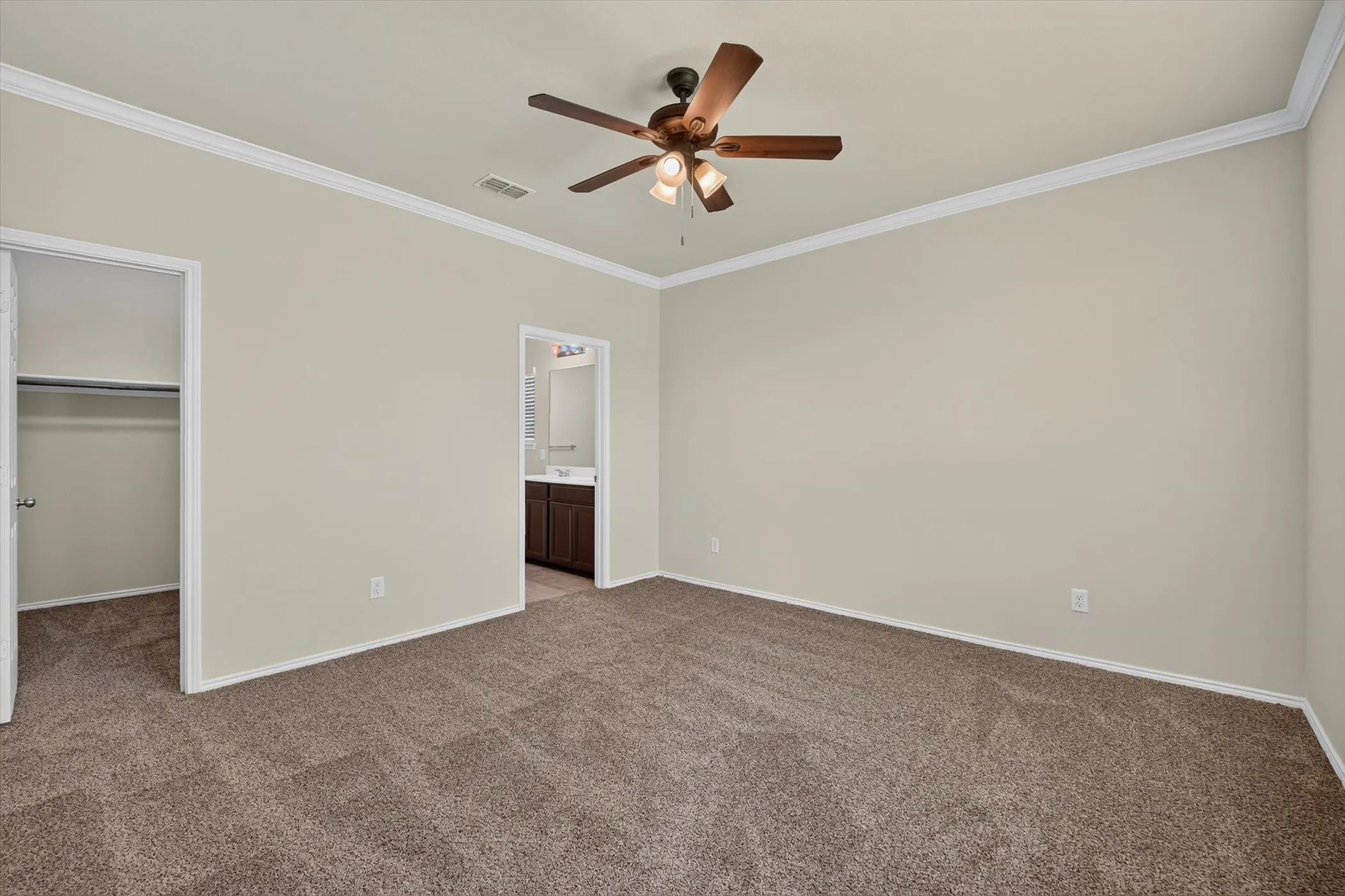 Brand New Carpet