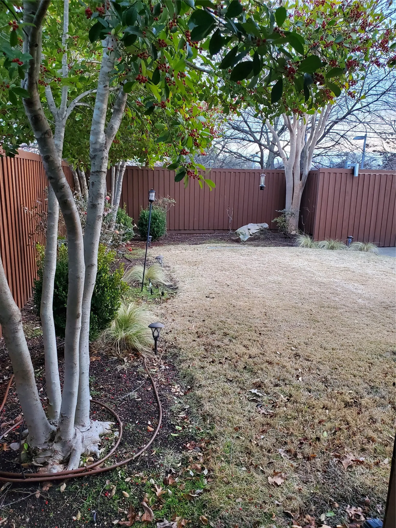 7422 Backyard