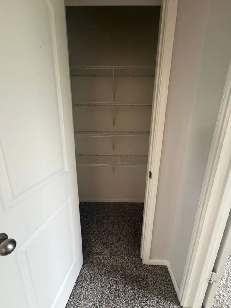 Interior closet featuring multiple wire shelving units, gray textured carpet, and white trim