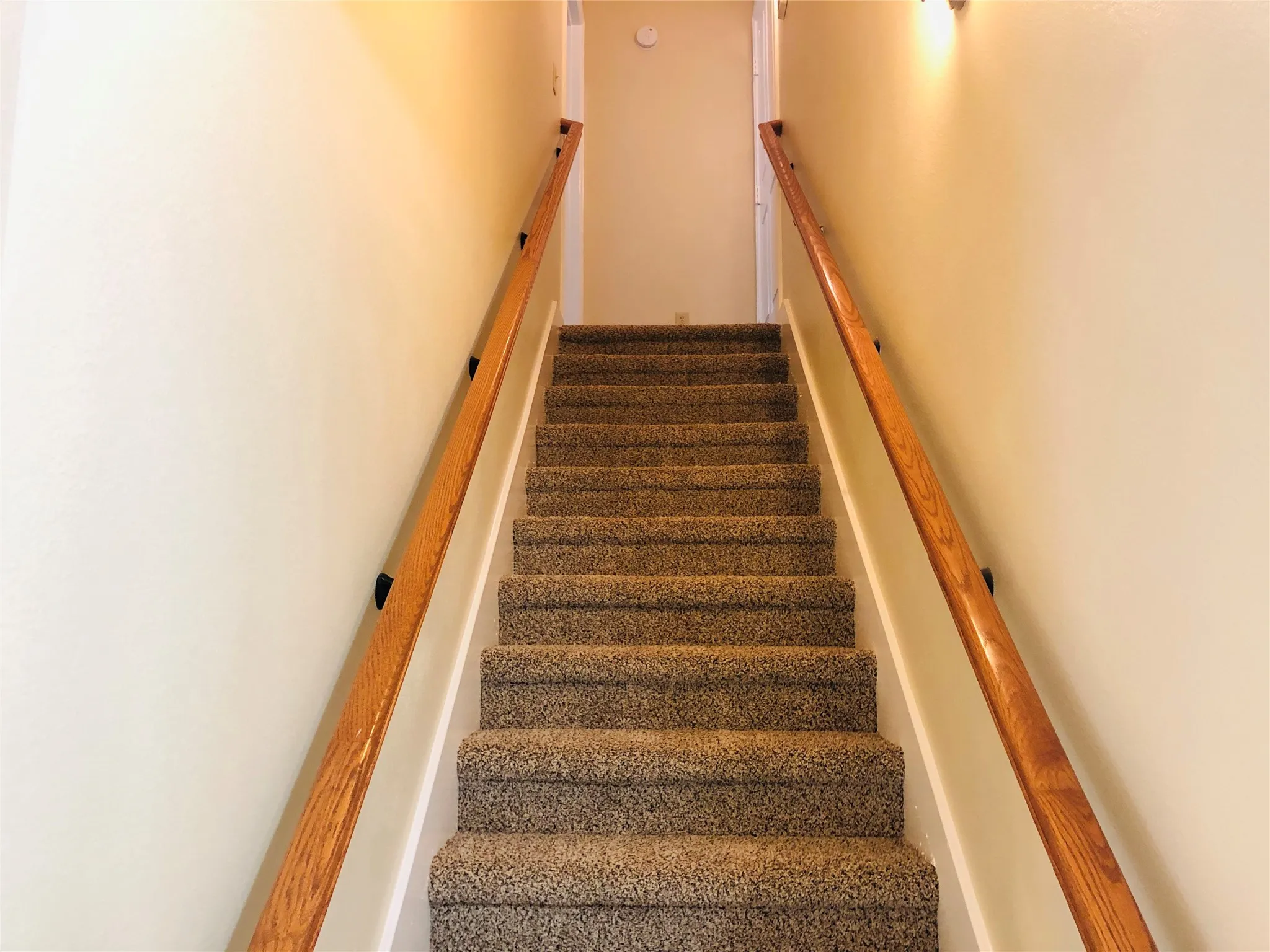Carpeted staircase with light-toned wall paint and wood handrails
