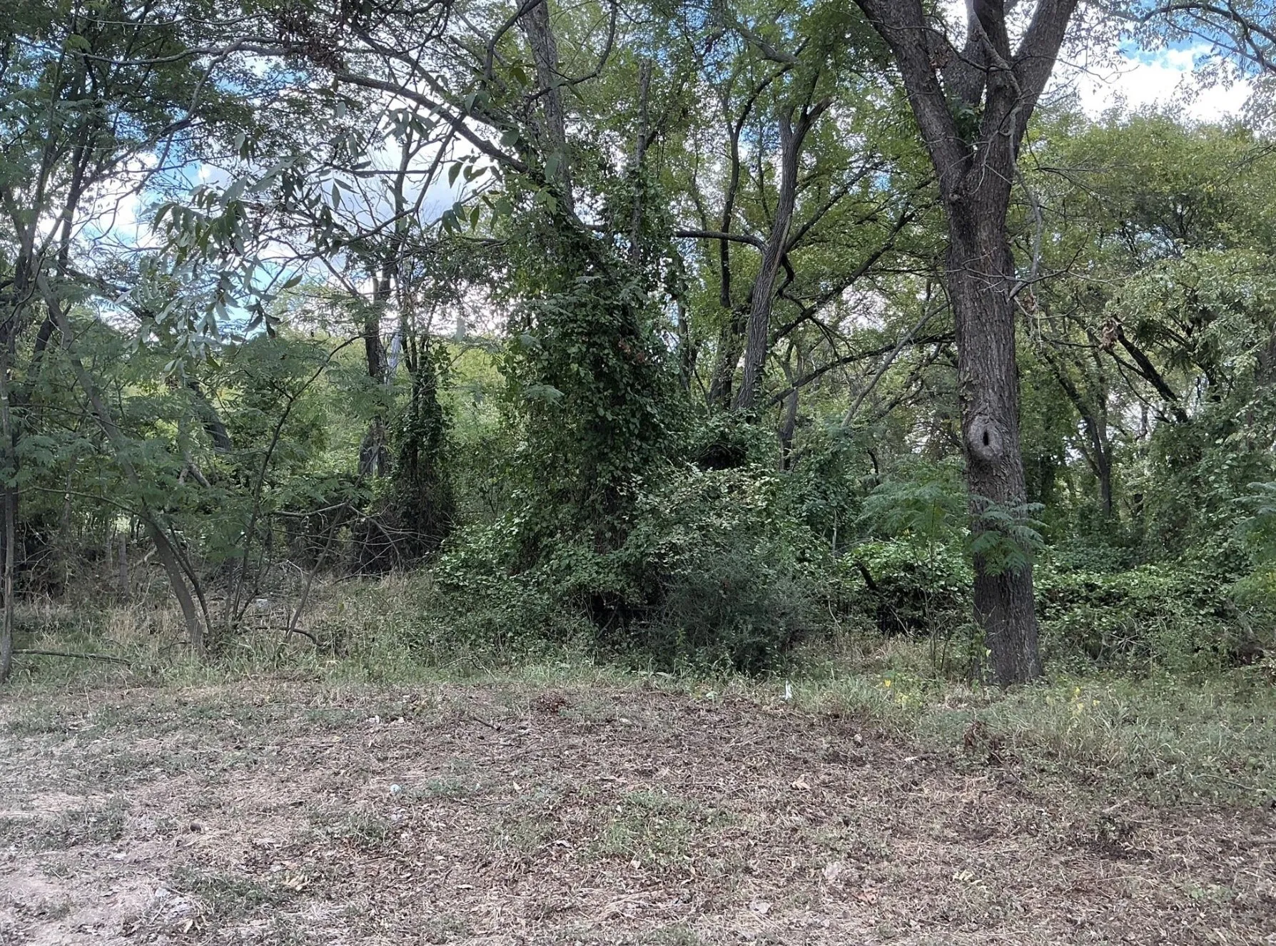 Unimproved Land For Sale in Parker County , 0 North Street, Weatherford, Texas 76086, 0, 0, Garage spaces, 0 Sqft, built in 0, Price $40,000, mls#21313906, Real Estate Agent in Weatherford, Homes For Sale in Parker county, Homes For Sale in Weatherford, Realtor in Weatherford Texas, Real Estate Brokerage Independent Realty Texas, Luminita Cordes Realtor