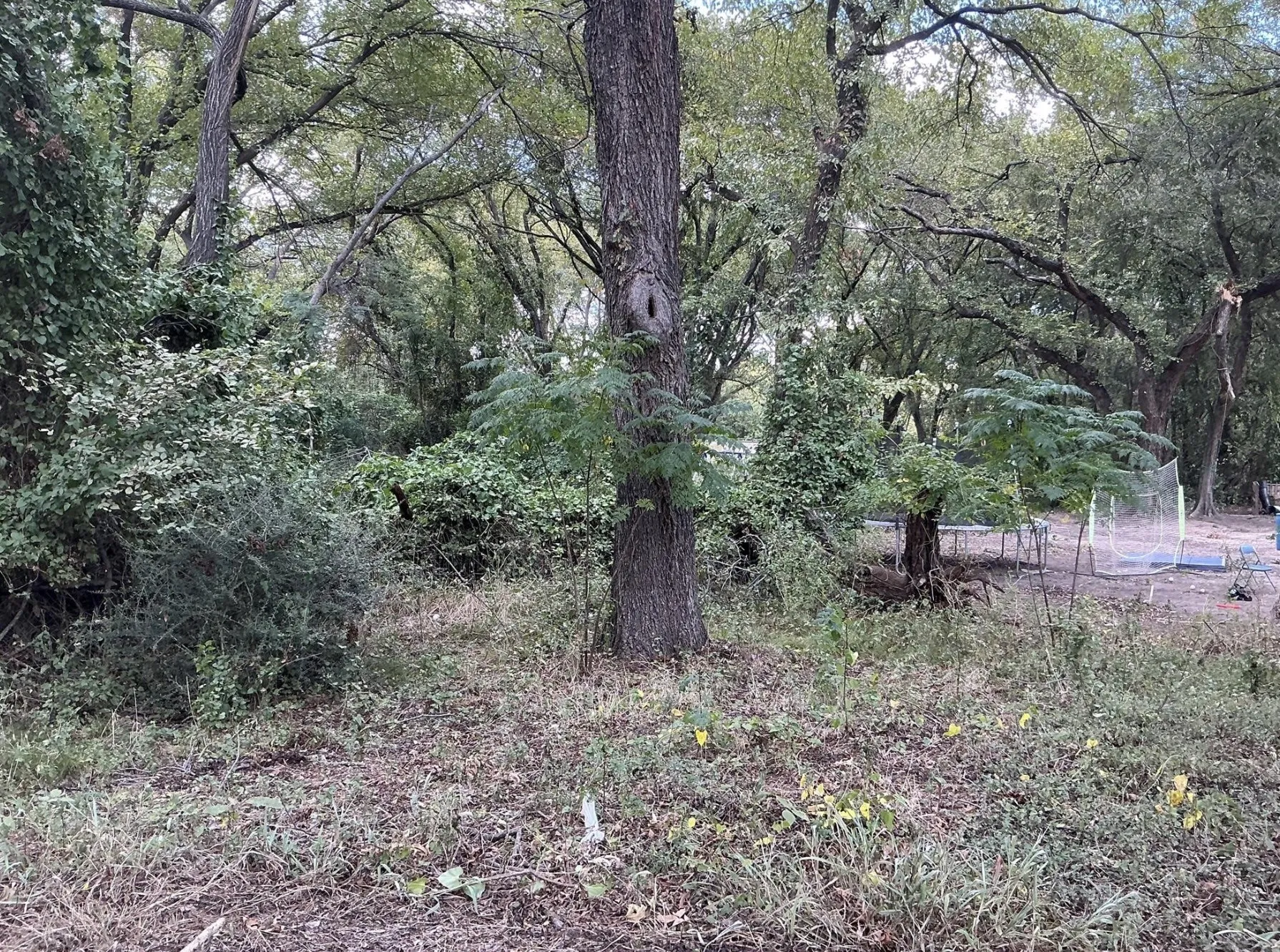 Unimproved Land For Sale in Parker County , 0 North Street, Weatherford, Texas 76086, 0, 0, Garage spaces, 0 Sqft, built in 0, Price $40,000, mls#21313906, Real Estate Agent in Weatherford, Homes For Sale in Parker county, Homes For Sale in Weatherford, Realtor in Weatherford Texas, Real Estate Brokerage Independent Realty Texas, Luminita Cordes Realtor