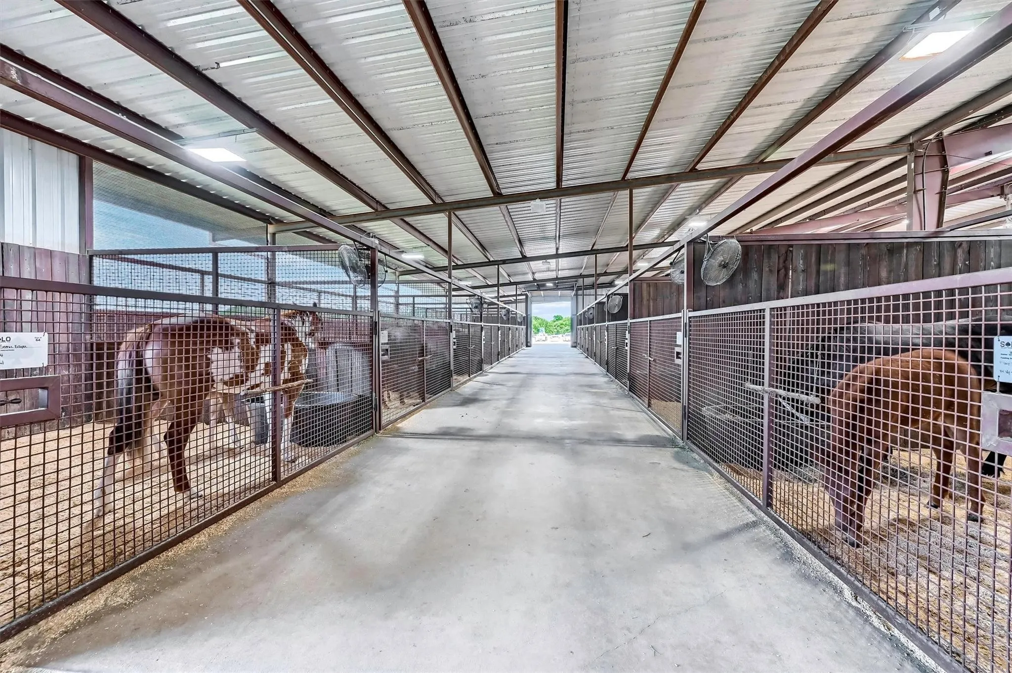 Good airflow and light in the 72-stall horse barn.