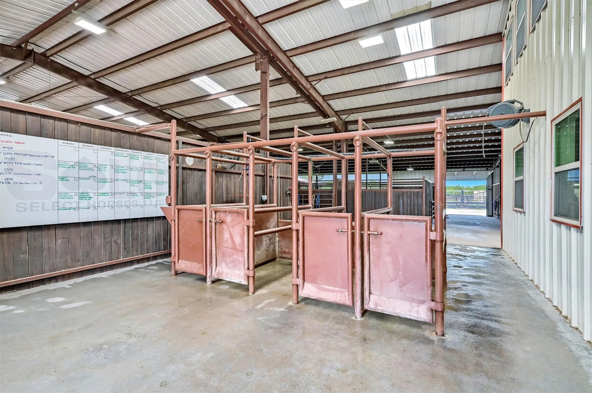 Breeding stocks in 72-stall barn.