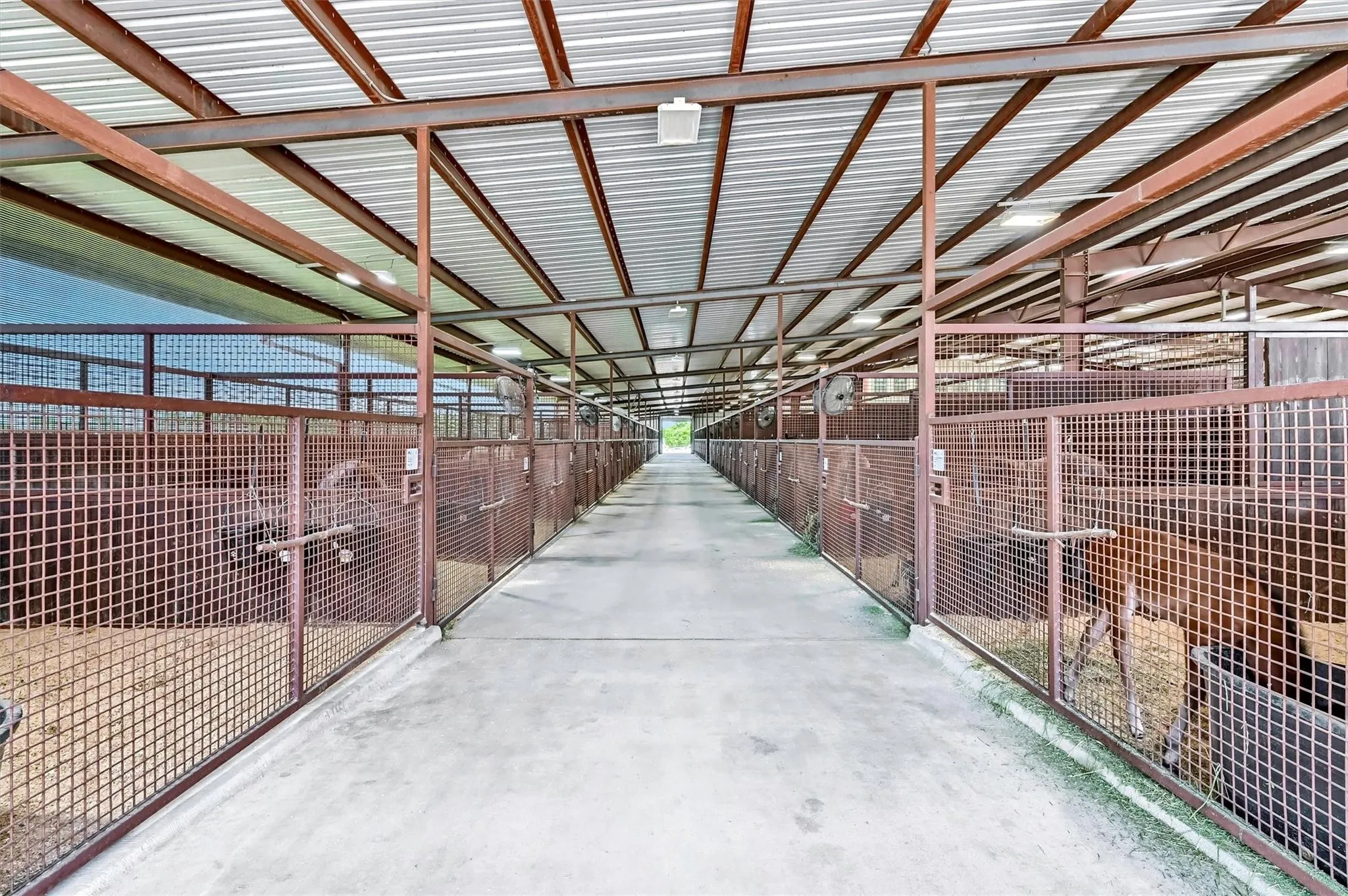 View of interior alley and stalls in 72-stall horse barn.