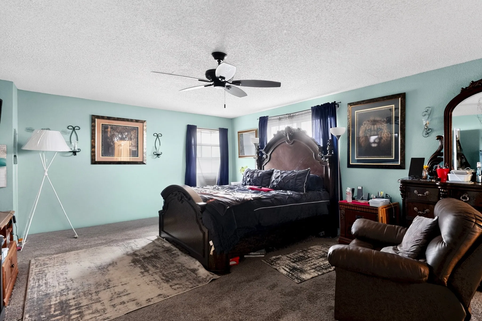 Spacious bedroom featuring neutral carpeting, light blue wall paint, a ceiling fan, and multiple windows with drapery
