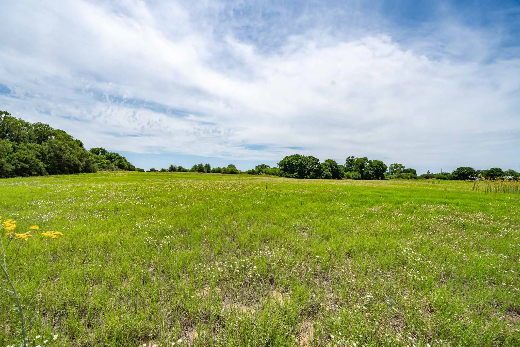 field view