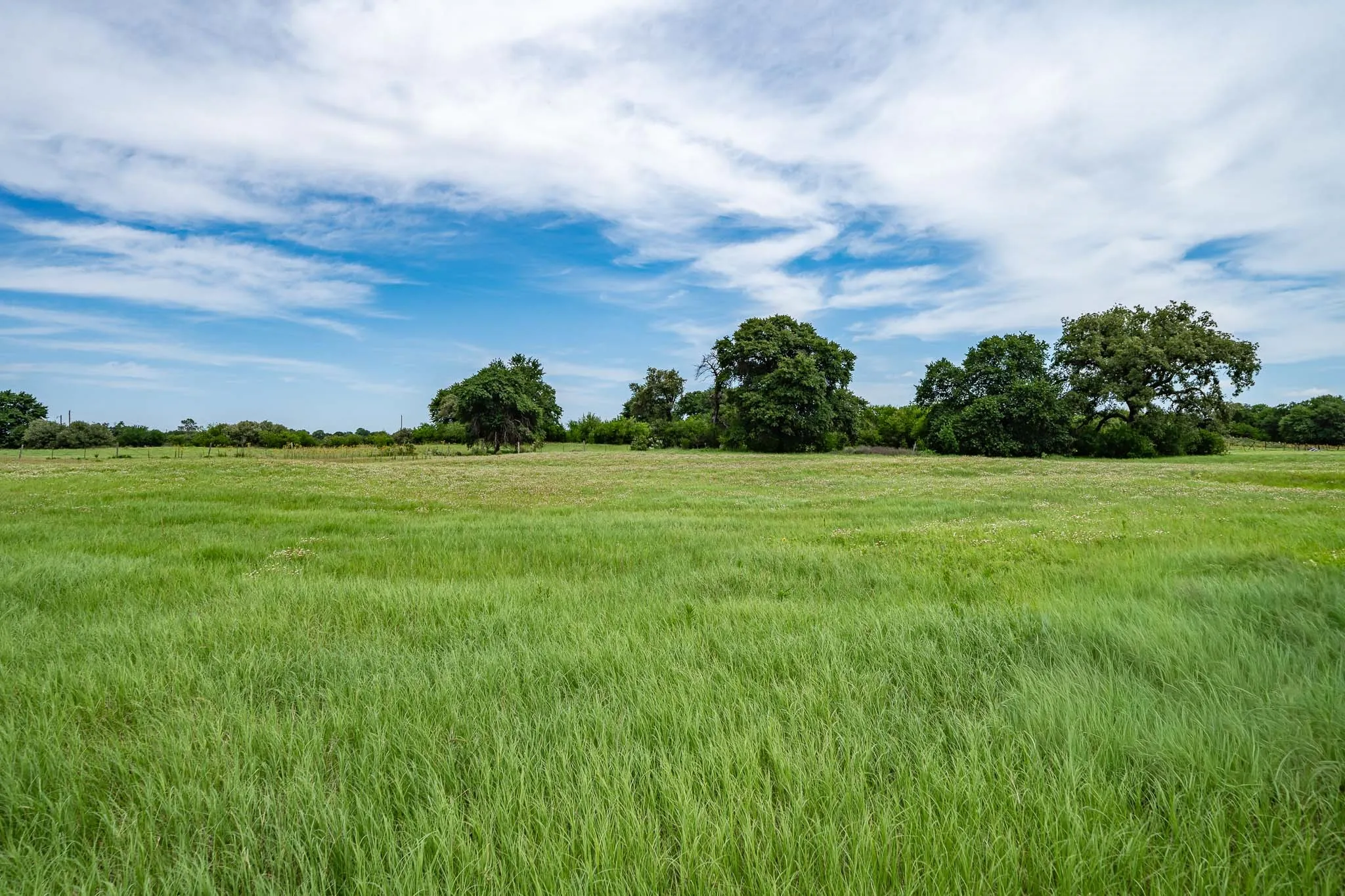 field view