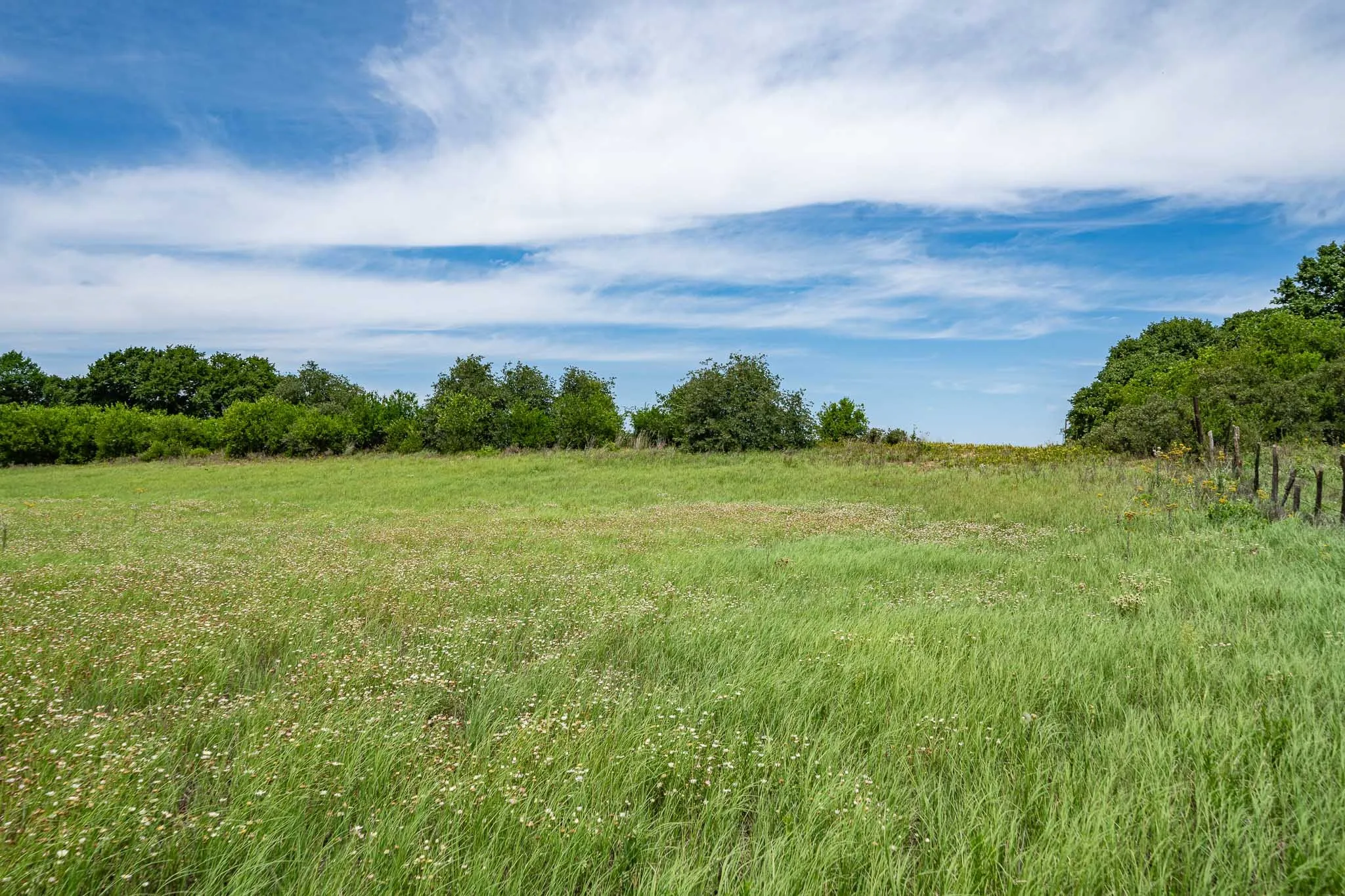 field view