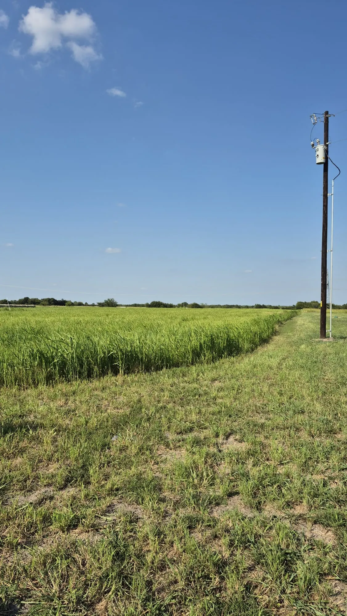 Improved Land For Sale in Ellis County , 691 FARMER Road, Ennis, Texas 75119, 0, 0, Garage spaces, 0 Sqft, built in 0, mls#21314109, Real Estate Agent in Ennis, Homes For Sale in Ellis county, Homes For Sale in Ennis, Realtor in Ennis Texas, Real Estate Brokerage Independent Realty Texas, Luminita Cordes Realtor