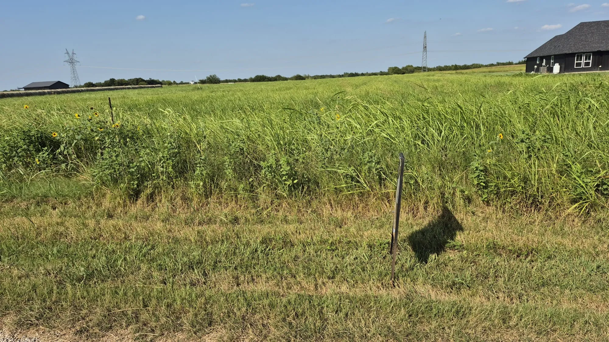 Improved Land For Sale in Ellis County , 691 FARMER Road, Ennis, Texas 75119, 0, 0, Garage spaces, 0 Sqft, built in 0, mls#21314109, Real Estate Agent in Ennis, Homes For Sale in Ellis county, Homes For Sale in Ennis, Realtor in Ennis Texas, Real Estate Brokerage Independent Realty Texas, Luminita Cordes Realtor