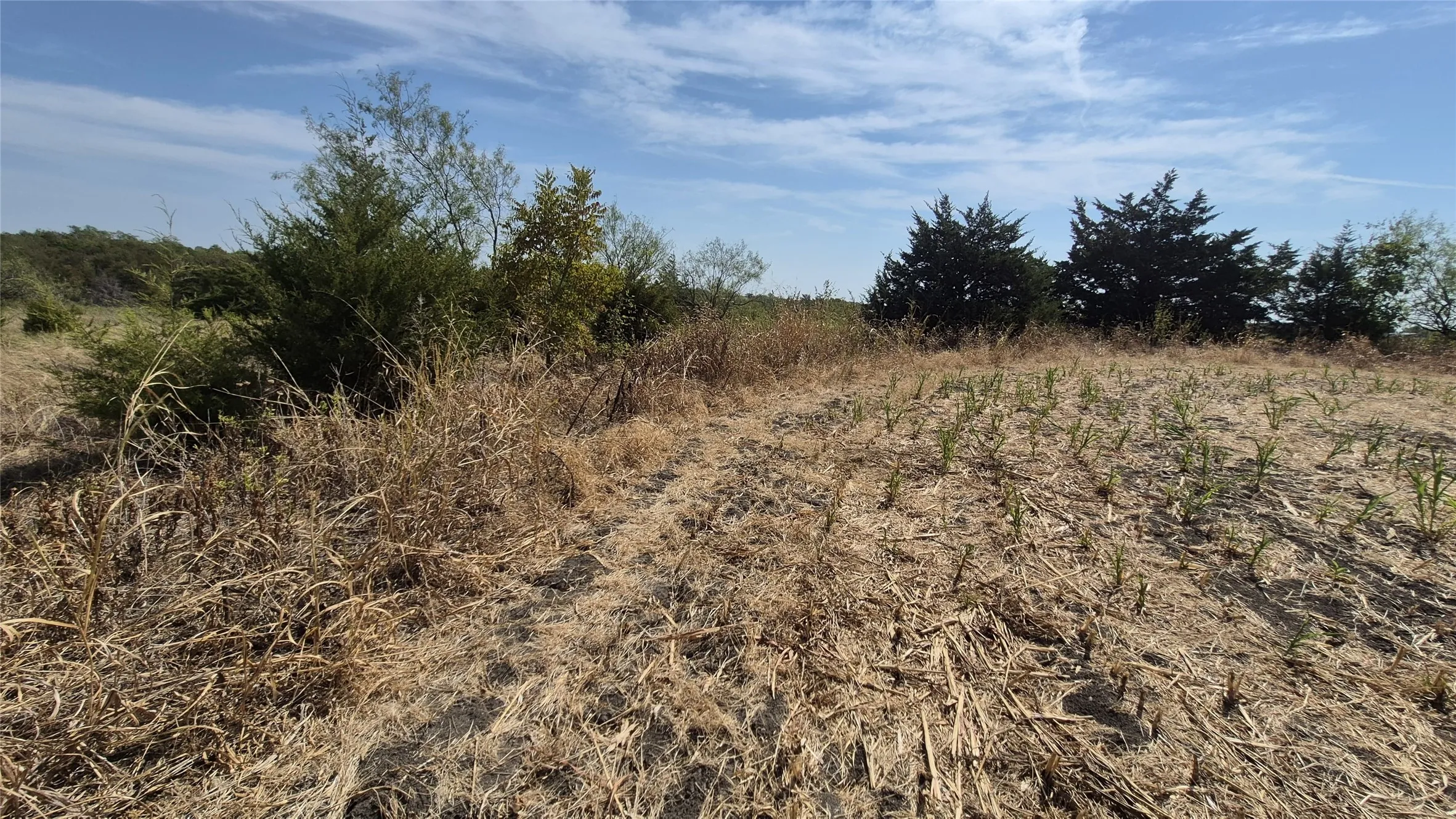 Improved Land For Sale in Ellis County , 691 FARMER Road, Ennis, Texas 75119, 0, 0, Garage spaces, 0 Sqft, built in 0, mls#21314109, Real Estate Agent in Ennis, Homes For Sale in Ellis county, Homes For Sale in Ennis, Realtor in Ennis Texas, Real Estate Brokerage Independent Realty Texas, Luminita Cordes Realtor