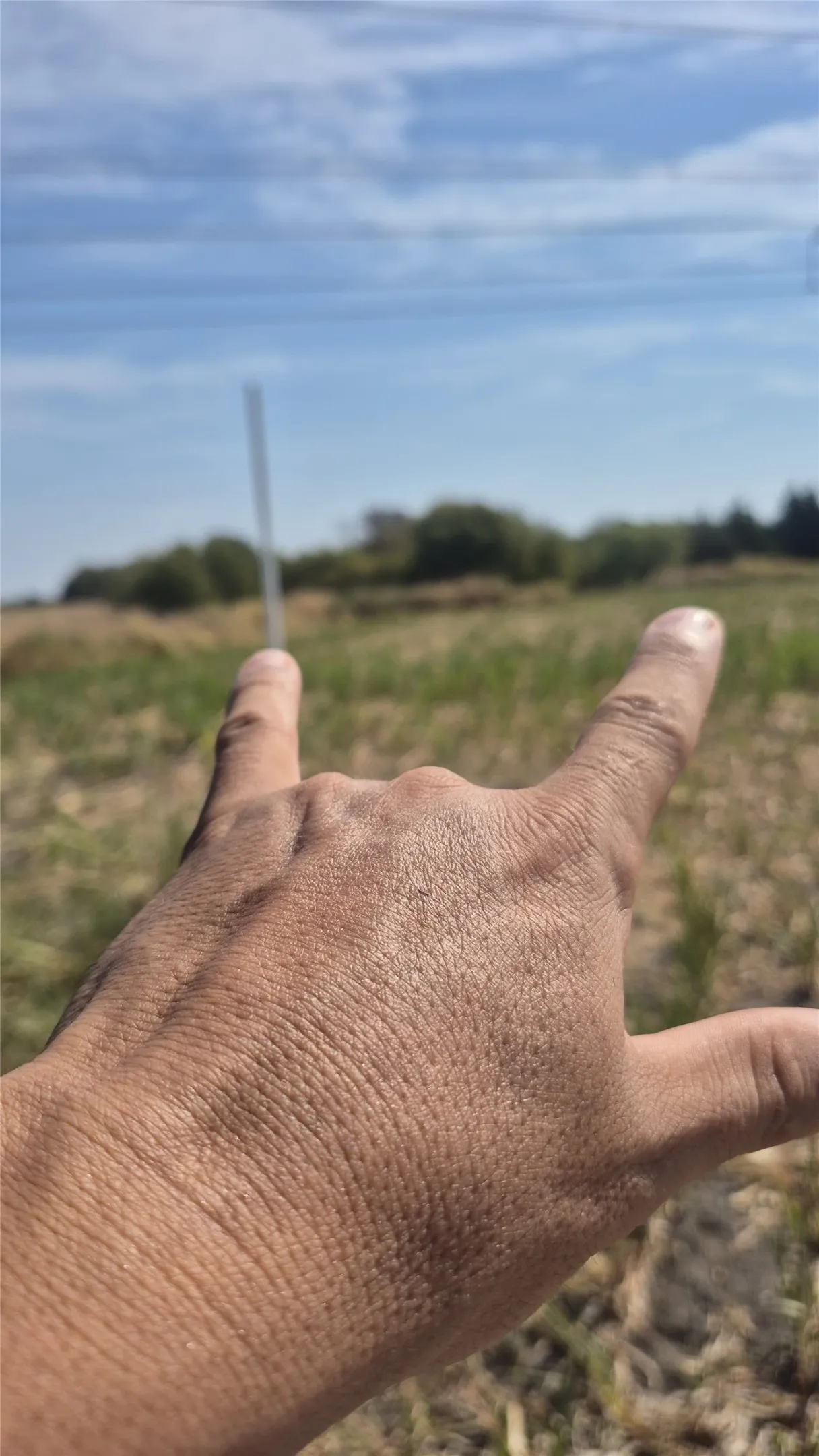 Improved Land For Sale in Ellis County , 691 FARMER Road, Ennis, Texas 75119, 0, 0, Garage spaces, 0 Sqft, built in 0, mls#21314109, Real Estate Agent in Ennis, Homes For Sale in Ellis county, Homes For Sale in Ennis, Realtor in Ennis Texas, Real Estate Brokerage Independent Realty Texas, Luminita Cordes Realtor