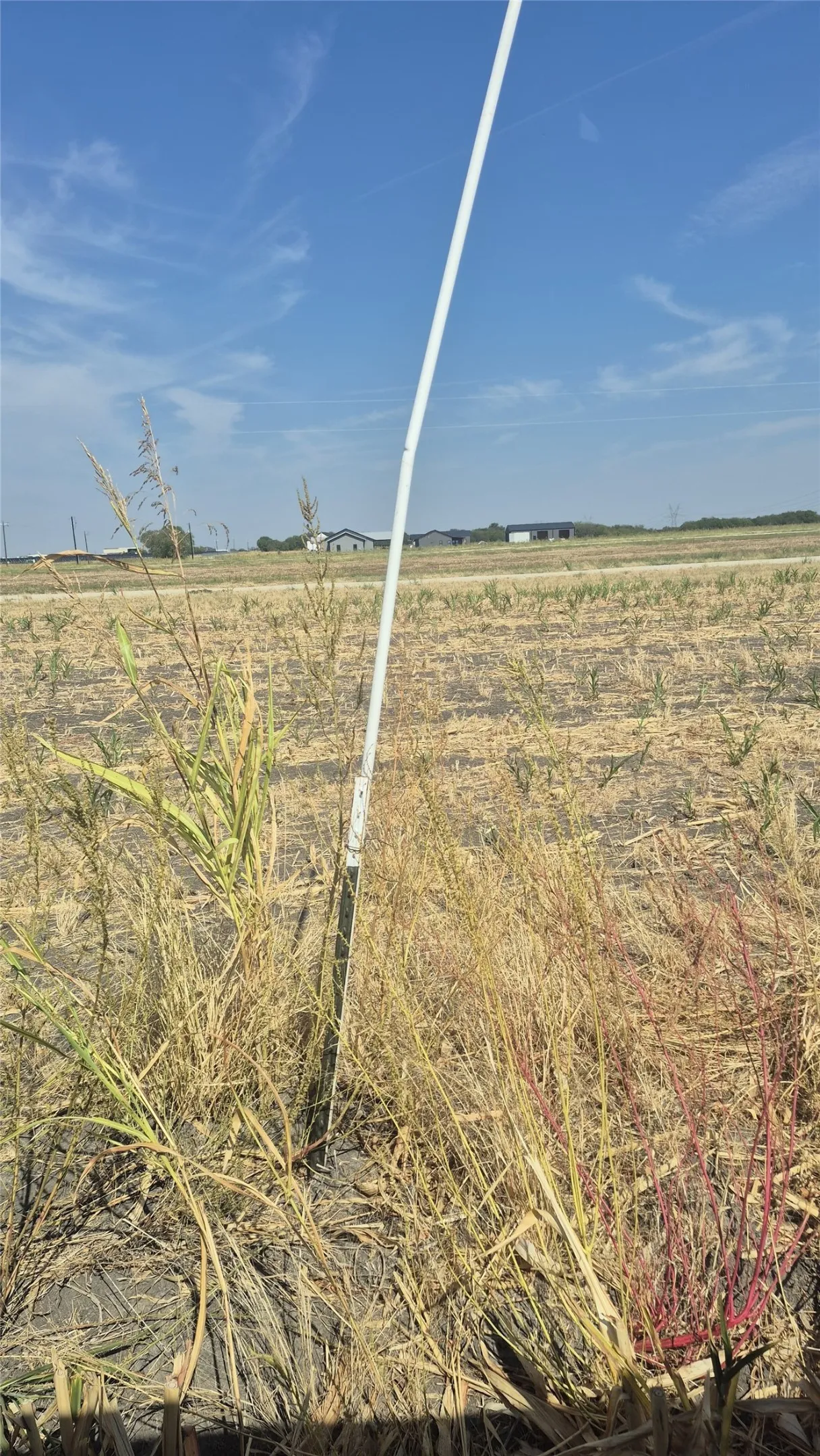 Improved Land For Sale in Ellis County , 691 FARMER Road, Ennis, Texas 75119, 0, 0, Garage spaces, 0 Sqft, built in 0, mls#21314109, Real Estate Agent in Ennis, Homes For Sale in Ellis county, Homes For Sale in Ennis, Realtor in Ennis Texas, Real Estate Brokerage Independent Realty Texas, Luminita Cordes Realtor