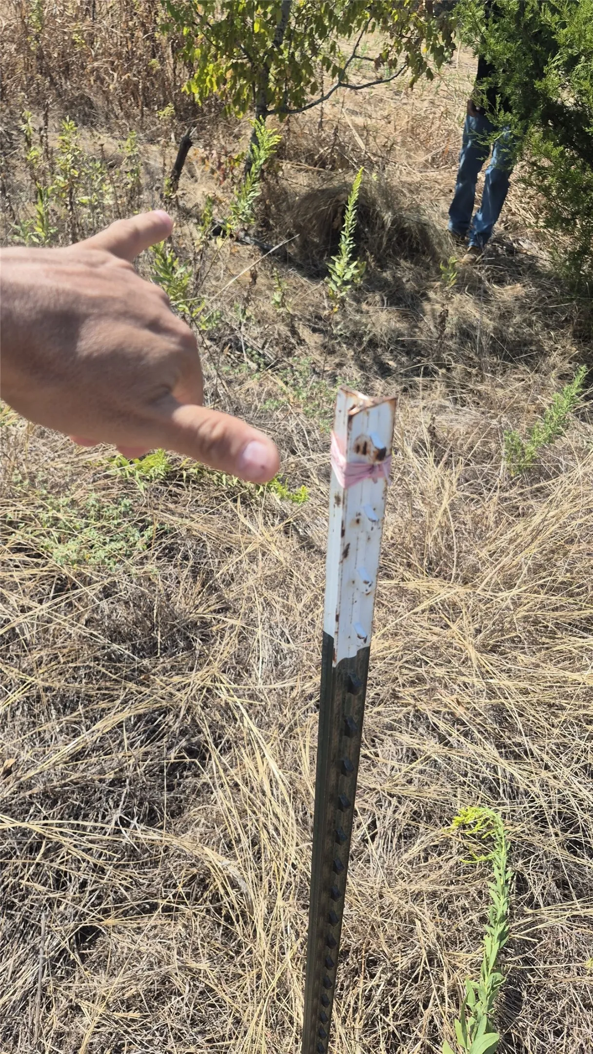 Improved Land For Sale in Ellis County , 691 FARMER Road, Ennis, Texas 75119, 0, 0, Garage spaces, 0 Sqft, built in 0, mls#21314109, Real Estate Agent in Ennis, Homes For Sale in Ellis county, Homes For Sale in Ennis, Realtor in Ennis Texas, Real Estate Brokerage Independent Realty Texas, Luminita Cordes Realtor