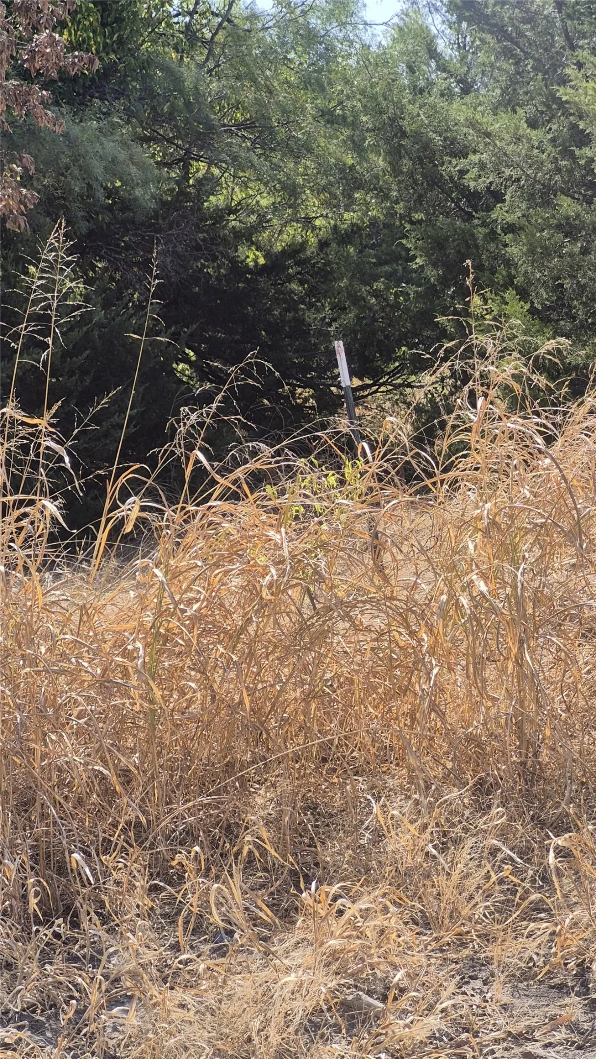 Improved Land For Sale in Ellis County , 691 FARMER Road, Ennis, Texas 75119, 0, 0, Garage spaces, 0 Sqft, built in 0, mls#21314109, Real Estate Agent in Ennis, Homes For Sale in Ellis county, Homes For Sale in Ennis, Realtor in Ennis Texas, Real Estate Brokerage Independent Realty Texas, Luminita Cordes Realtor