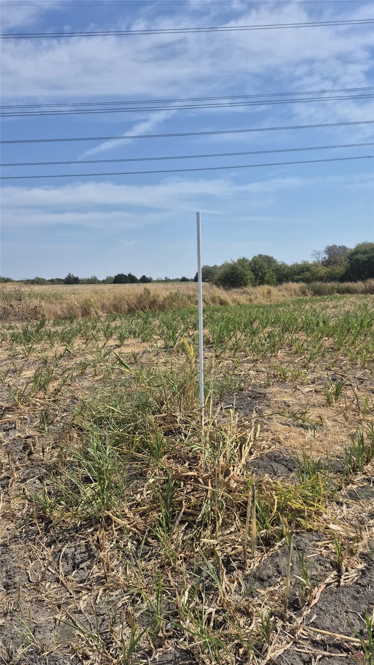 Improved Land For Sale in Ellis County , 691 FARMER Road, Ennis, Texas 75119, 0, 0, Garage spaces, 0 Sqft, built in 0, mls#21314109, Real Estate Agent in Ennis, Homes For Sale in Ellis county, Homes For Sale in Ennis, Realtor in Ennis Texas, Real Estate Brokerage Independent Realty Texas, Luminita Cordes Realtor