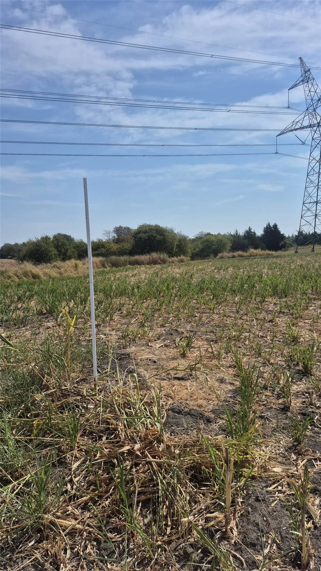 Improved Land For Sale in Ellis County , 691 FARMER Road, Ennis, Texas 75119, 0, 0, Garage spaces, 0 Sqft, built in 0, mls#21314109, Real Estate Agent in Ennis, Homes For Sale in Ellis county, Homes For Sale in Ennis, Realtor in Ennis Texas, Real Estate Brokerage Independent Realty Texas, Luminita Cordes Realtor