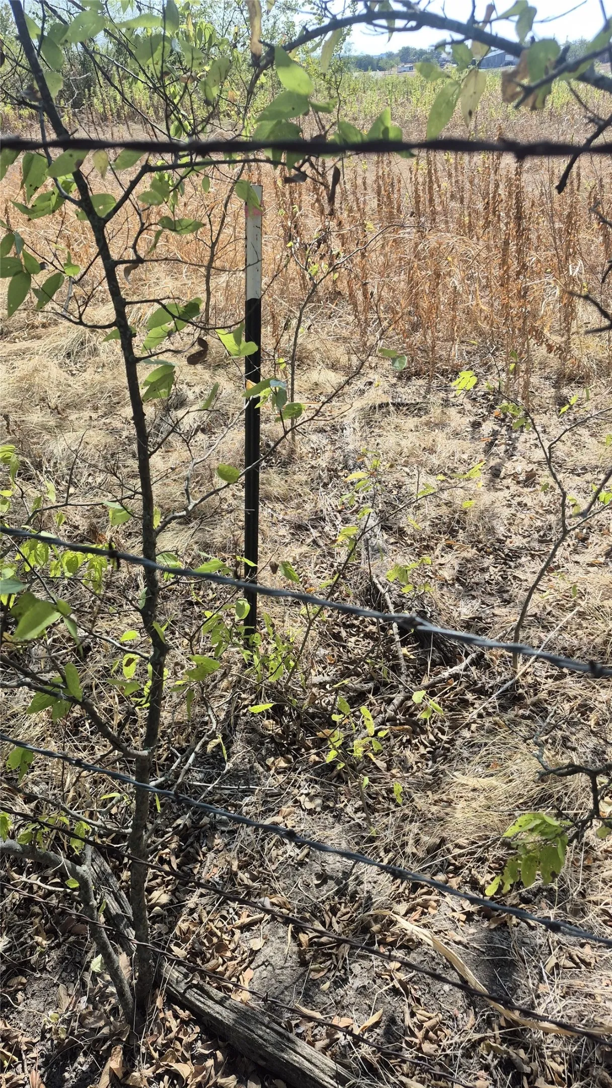 Improved Land For Sale in Ellis County , 691 FARMER Road, Ennis, Texas 75119, 0, 0, Garage spaces, 0 Sqft, built in 0, mls#21314109, Real Estate Agent in Ennis, Homes For Sale in Ellis county, Homes For Sale in Ennis, Realtor in Ennis Texas, Real Estate Brokerage Independent Realty Texas, Luminita Cordes Realtor