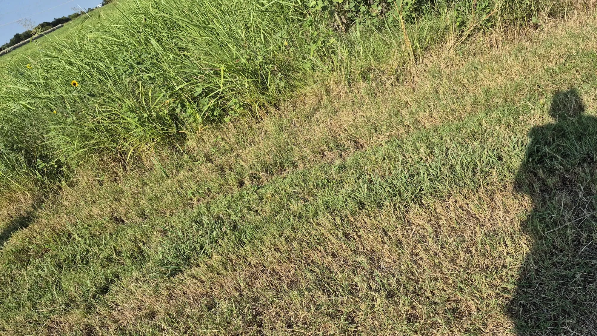 Improved Land For Sale in Ellis County , 691 FARMER Road, Ennis, Texas 75119, 0, 0, Garage spaces, 0 Sqft, built in 0, mls#21314109, Real Estate Agent in Ennis, Homes For Sale in Ellis county, Homes For Sale in Ennis, Realtor in Ennis Texas, Real Estate Brokerage Independent Realty Texas, Luminita Cordes Realtor