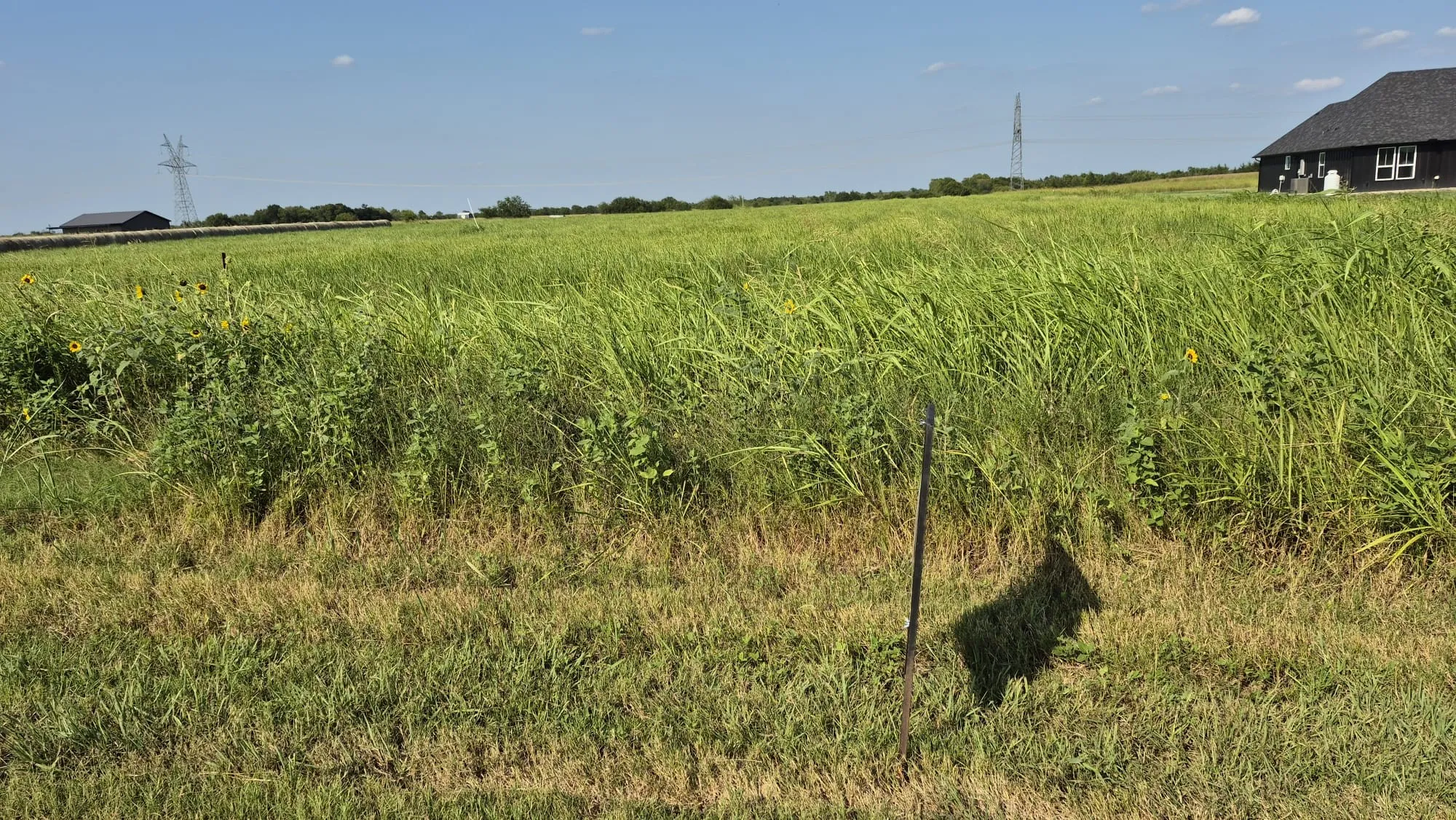 Improved Land For Sale in Ellis County , 691 FARMER Road, Ennis, Texas 75119, 0, 0, Garage spaces, 0 Sqft, built in 0, mls#21314109, Real Estate Agent in Ennis, Homes For Sale in Ellis county, Homes For Sale in Ennis, Realtor in Ennis Texas, Real Estate Brokerage Independent Realty Texas, Luminita Cordes Realtor