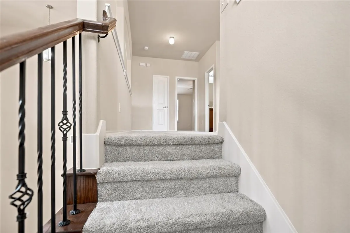 Stairs with brand new carpet.