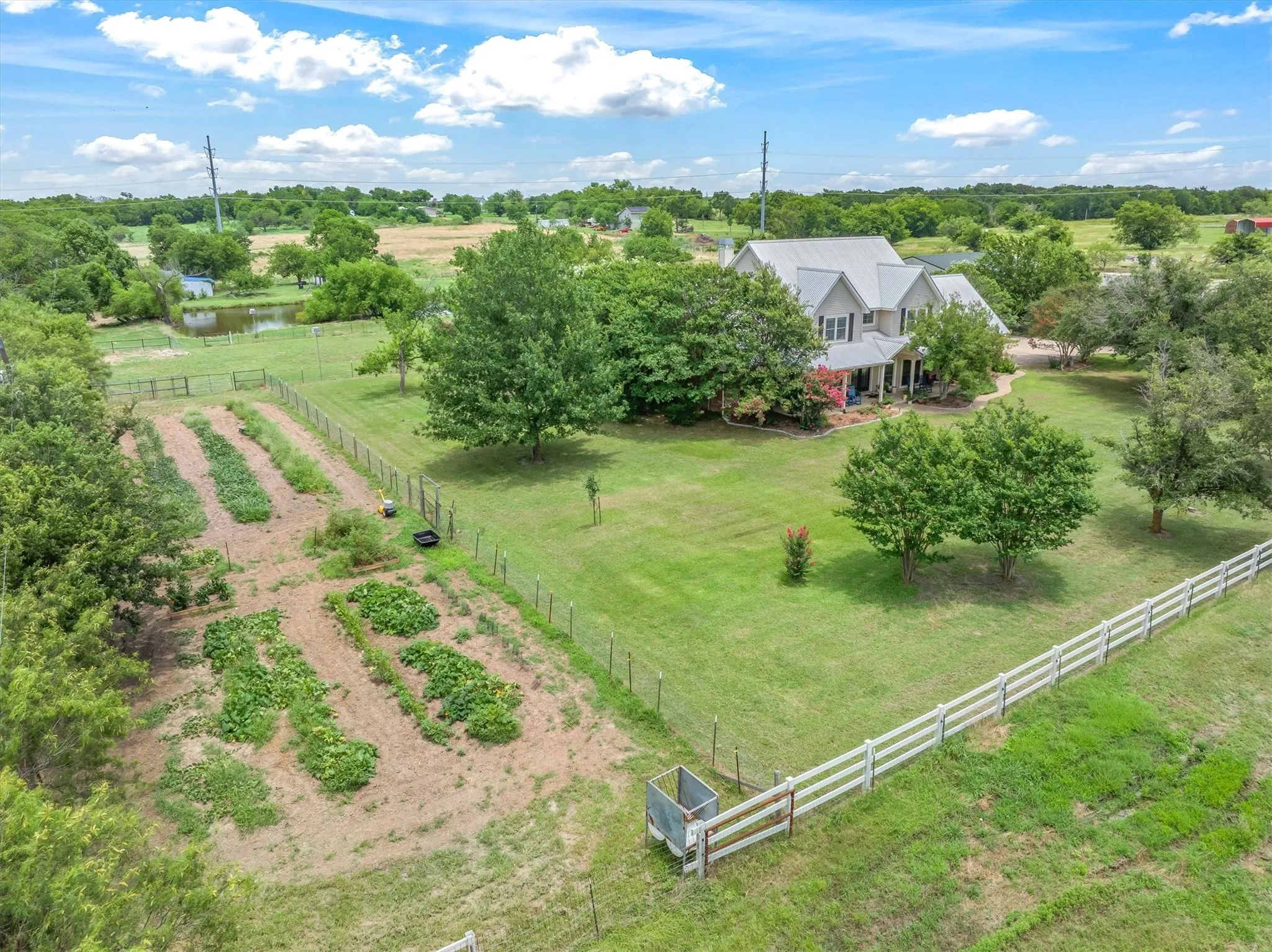 Seller has a great productive vegetable garden.