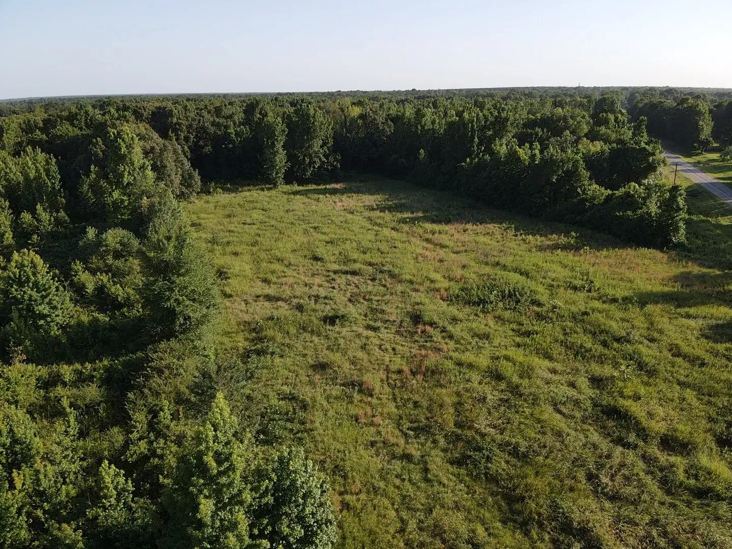 Unimproved Land For Sale in Lamar County , 13903 Farm Road 906 E, Paris, Texas 75462, 0, 0, Garage spaces, 0 Sqft, built in 0, mls#21314156, Real Estate Agent in Paris, Homes For Sale in Lamar county, Homes For Sale in Paris, Realtor in Paris Texas, Real Estate Brokerage Independent Realty Texas, Luminita Cordes Realtor