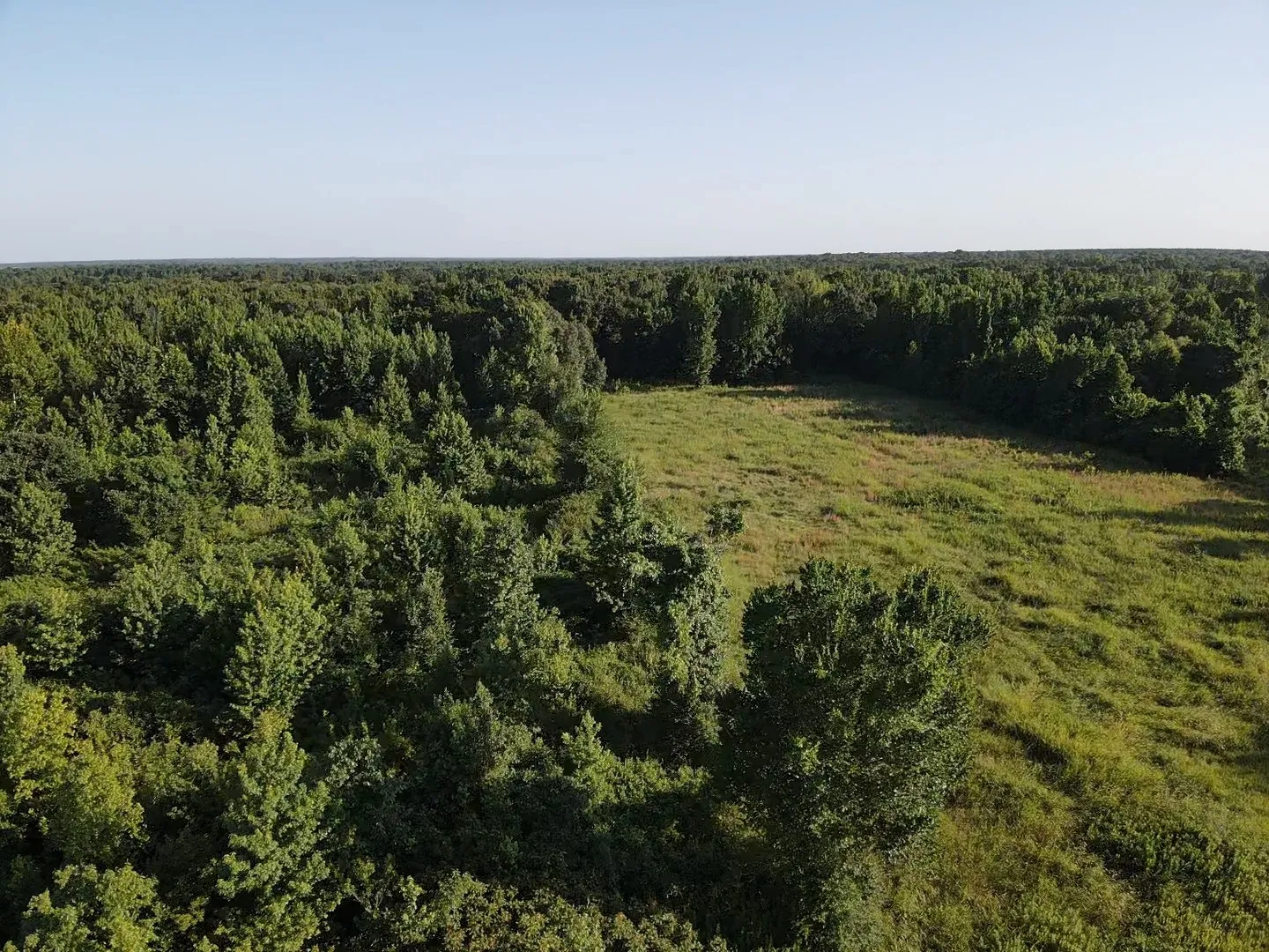 Unimproved Land For Sale in Lamar County , 13903 Farm Road 906 E, Paris, Texas 75462, 0, 0, Garage spaces, 0 Sqft, built in 0, mls#21314156, Real Estate Agent in Paris, Homes For Sale in Lamar county, Homes For Sale in Paris, Realtor in Paris Texas, Real Estate Brokerage Independent Realty Texas, Luminita Cordes Realtor