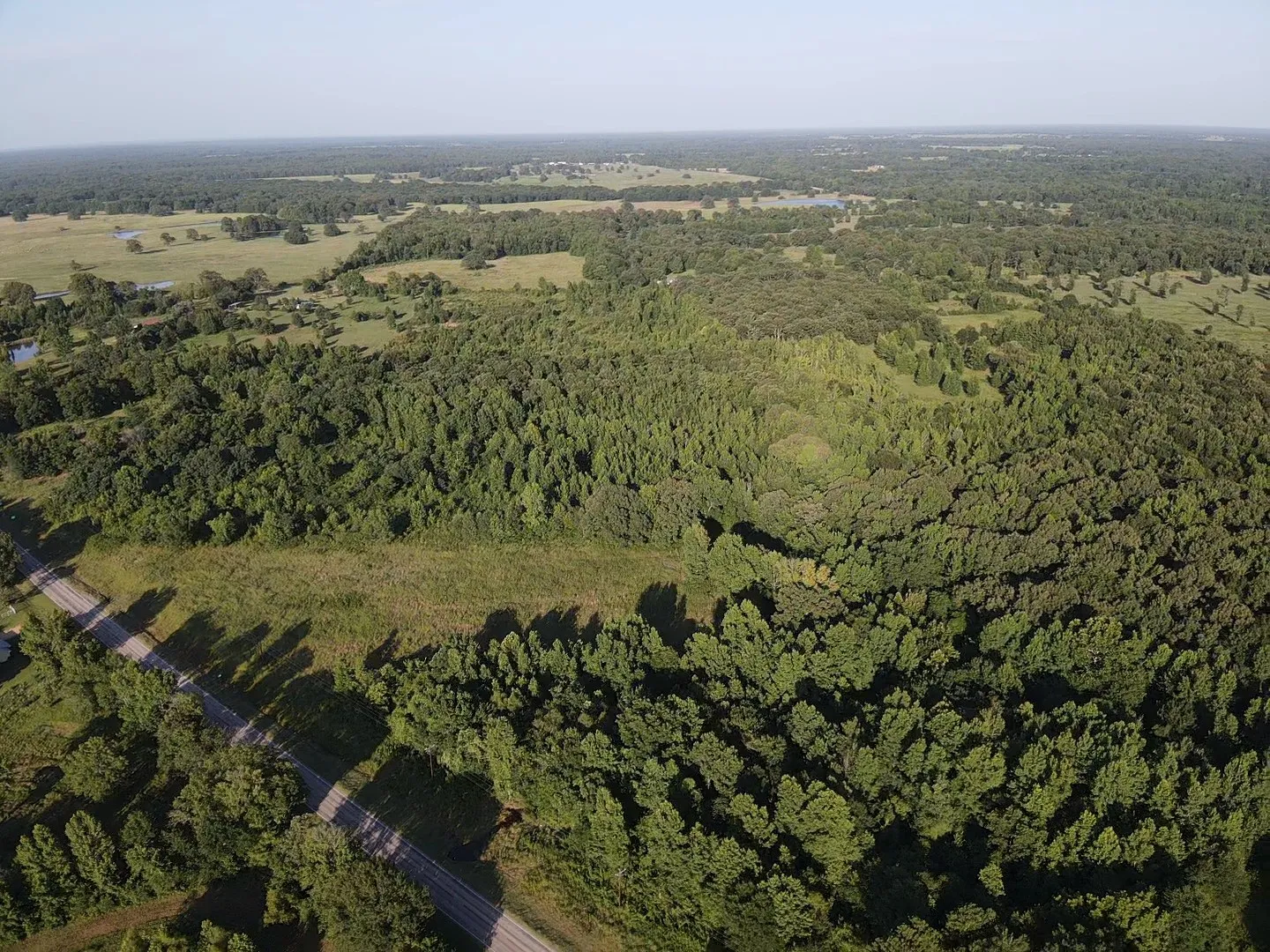 Unimproved Land For Sale in Lamar County , 13903 Farm Road 906 E, Paris, Texas 75462, 0, 0, Garage spaces, 0 Sqft, built in 0, mls#21314156, Real Estate Agent in Paris, Homes For Sale in Lamar county, Homes For Sale in Paris, Realtor in Paris Texas, Real Estate Brokerage Independent Realty Texas, Luminita Cordes Realtor