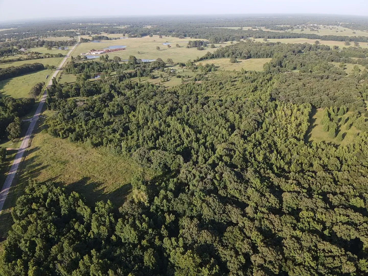 Unimproved Land For Sale in Lamar County , 13903 Farm Road 906 E, Paris, Texas 75462, 0, 0, Garage spaces, 0 Sqft, built in 0, mls#21314156, Real Estate Agent in Paris, Homes For Sale in Lamar county, Homes For Sale in Paris, Realtor in Paris Texas, Real Estate Brokerage Independent Realty Texas, Luminita Cordes Realtor
