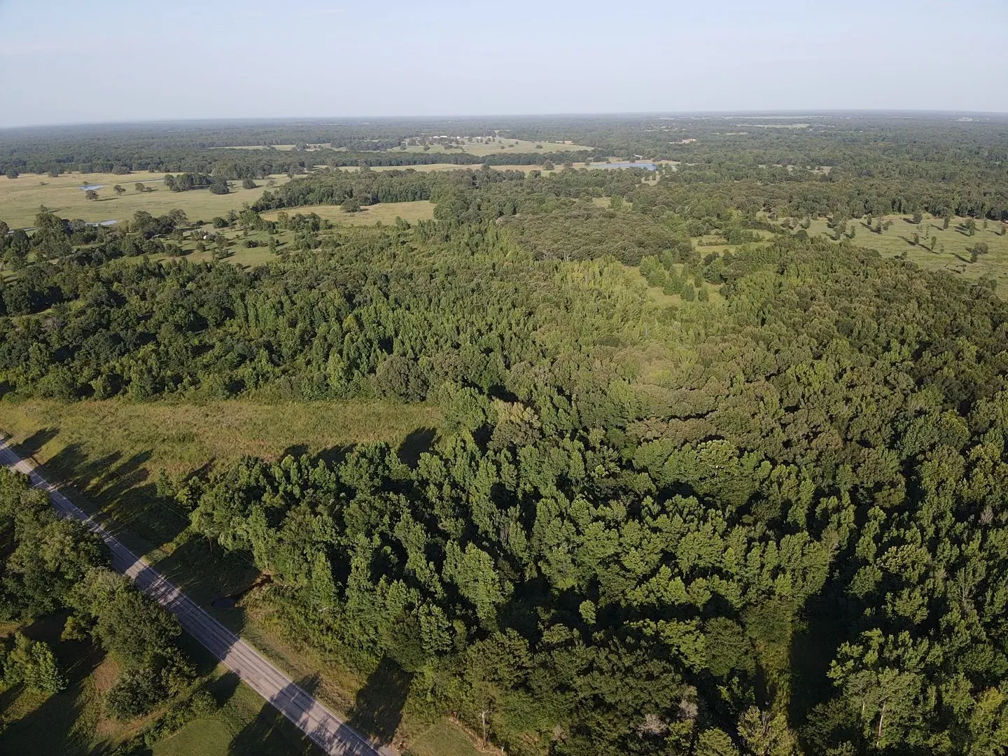 Unimproved Land For Sale in Lamar County , 13903 Farm Road 906 E, Paris, Texas 75462, 0, 0, Garage spaces, 0 Sqft, built in 0, mls#21314156, Real Estate Agent in Paris, Homes For Sale in Lamar county, Homes For Sale in Paris, Realtor in Paris Texas, Real Estate Brokerage Independent Realty Texas, Luminita Cordes Realtor