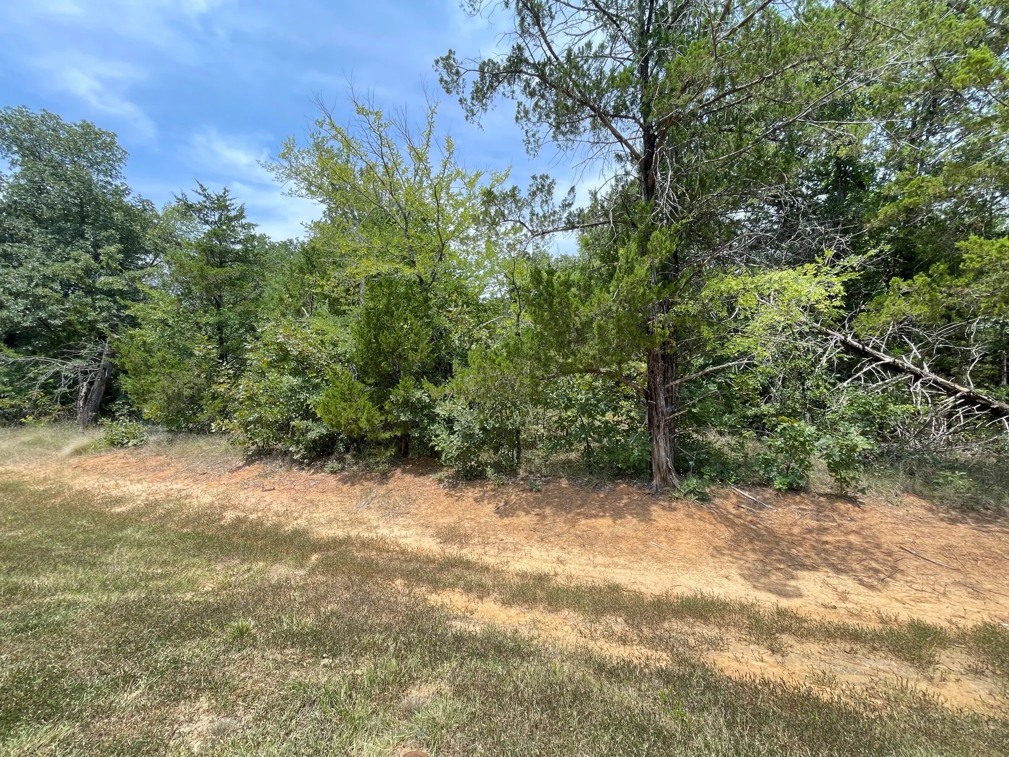 Unimproved Land For Sale in Grayson County , 96 Pine Hills Lane, Gordonville, Texas 76245, 0, 0, Garage spaces, 0 Sqft, built in 0, mls#21314072, Real Estate Agent in Gordonville, Homes For Sale in Grayson county, Homes For Sale in Gordonville, Realtor in Gordonville Texas, Real Estate Brokerage Independent Realty Texas, Luminita Cordes Realtor