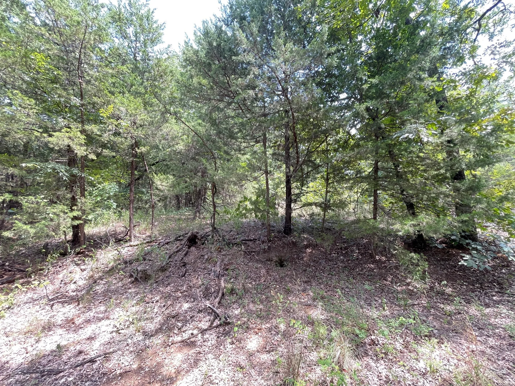 Unimproved Land For Sale in Grayson County , 96 Pine Hills Lane, Gordonville, Texas 76245, 0, 0, Garage spaces, 0 Sqft, built in 0, mls#21314072, Real Estate Agent in Gordonville, Homes For Sale in Grayson county, Homes For Sale in Gordonville, Realtor in Gordonville Texas, Real Estate Brokerage Independent Realty Texas, Luminita Cordes Realtor