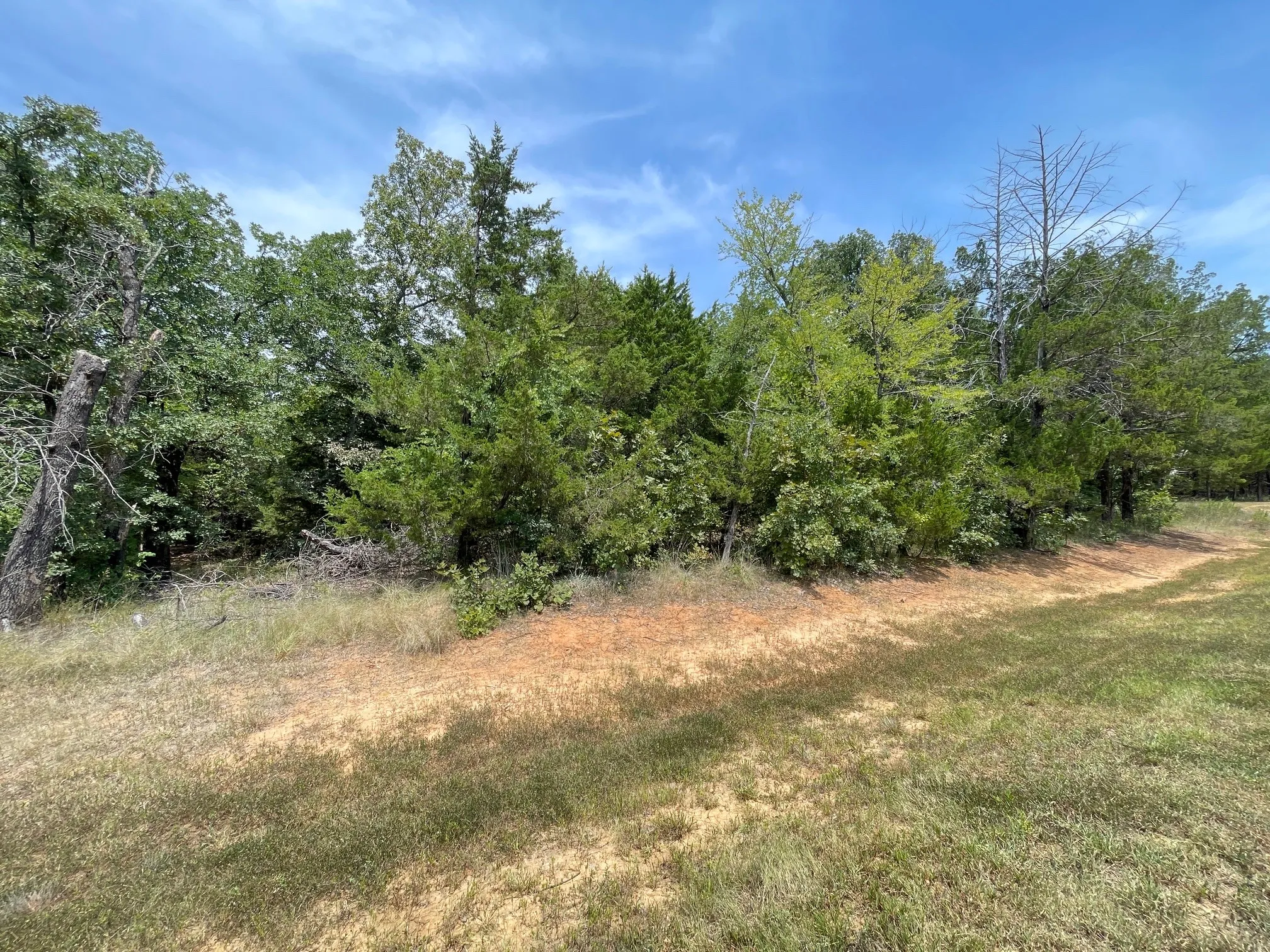 Unimproved Land For Sale in Grayson County , 96 Pine Hills Lane, Gordonville, Texas 76245, 0, 0, Garage spaces, 0 Sqft, built in 0, mls#21314072, Real Estate Agent in Gordonville, Homes For Sale in Grayson county, Homes For Sale in Gordonville, Realtor in Gordonville Texas, Real Estate Brokerage Independent Realty Texas, Luminita Cordes Realtor
