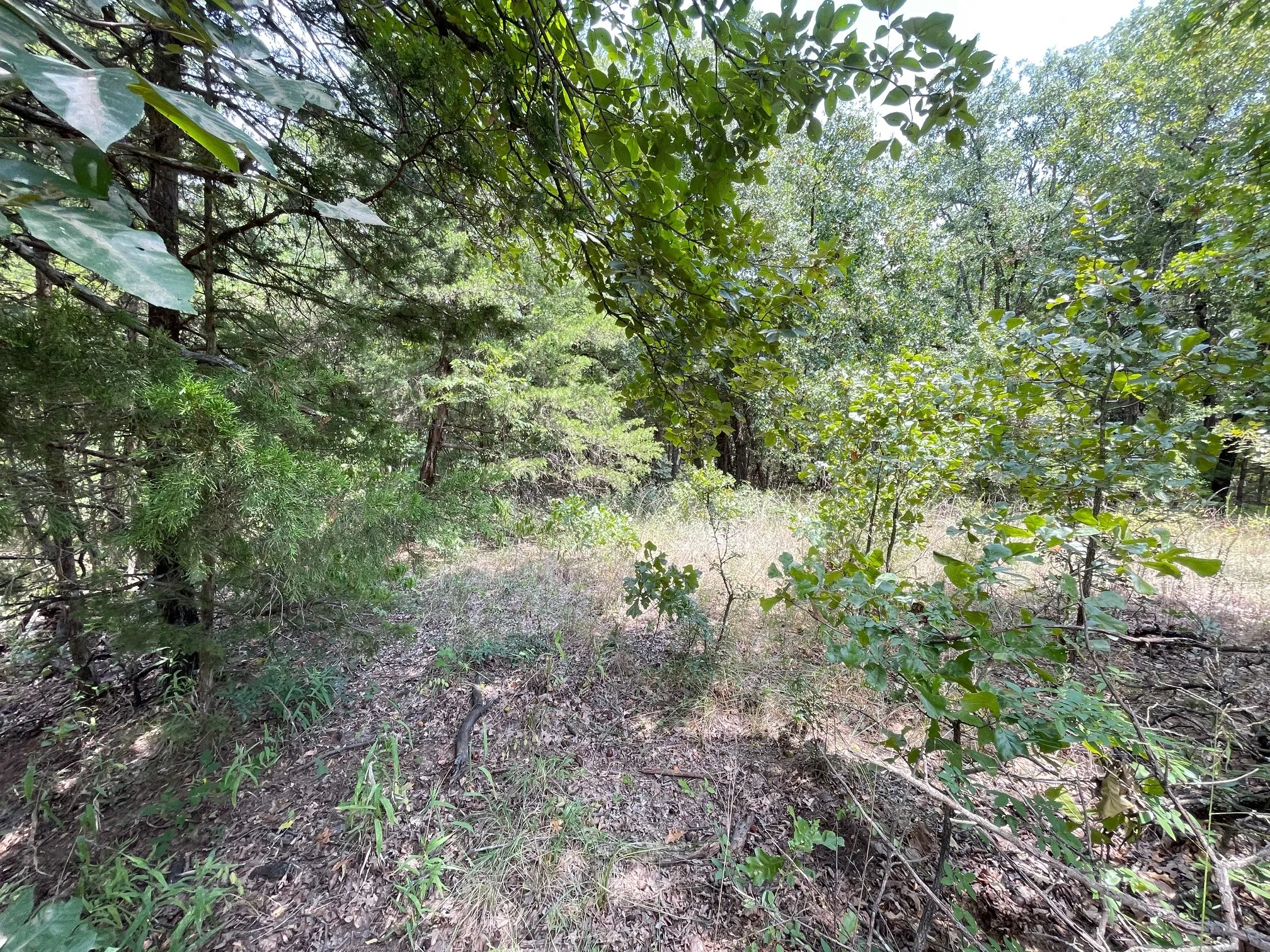 Unimproved Land For Sale in Grayson County , 96 Pine Hills Lane, Gordonville, Texas 76245, 0, 0, Garage spaces, 0 Sqft, built in 0, mls#21314072, Real Estate Agent in Gordonville, Homes For Sale in Grayson county, Homes For Sale in Gordonville, Realtor in Gordonville Texas, Real Estate Brokerage Independent Realty Texas, Luminita Cordes Realtor