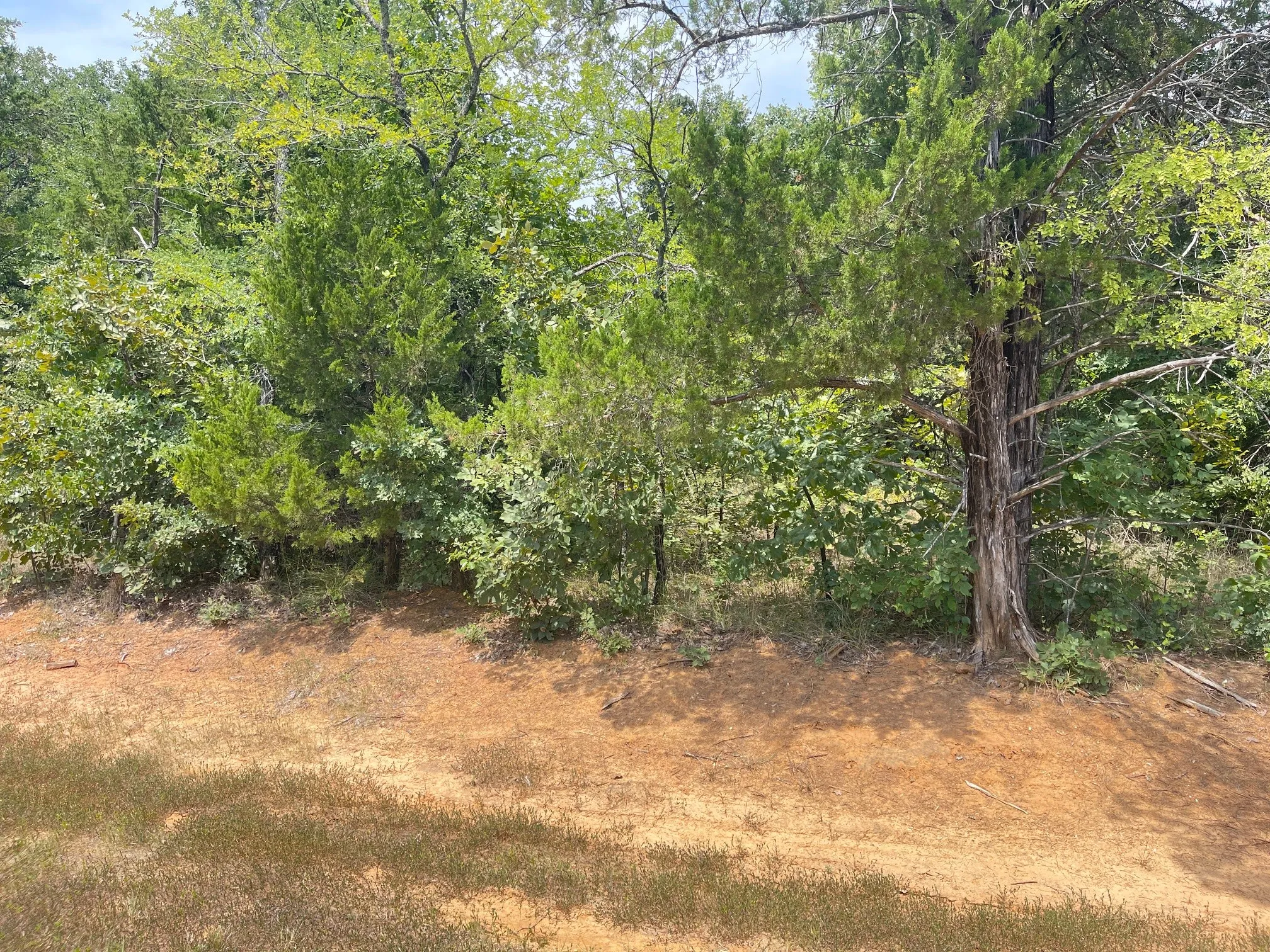 Unimproved Land For Sale in Grayson County , 96 Pine Hills Lane, Gordonville, Texas 76245, 0, 0, Garage spaces, 0 Sqft, built in 0, mls#21314072, Real Estate Agent in Gordonville, Homes For Sale in Grayson county, Homes For Sale in Gordonville, Realtor in Gordonville Texas, Real Estate Brokerage Independent Realty Texas, Luminita Cordes Realtor