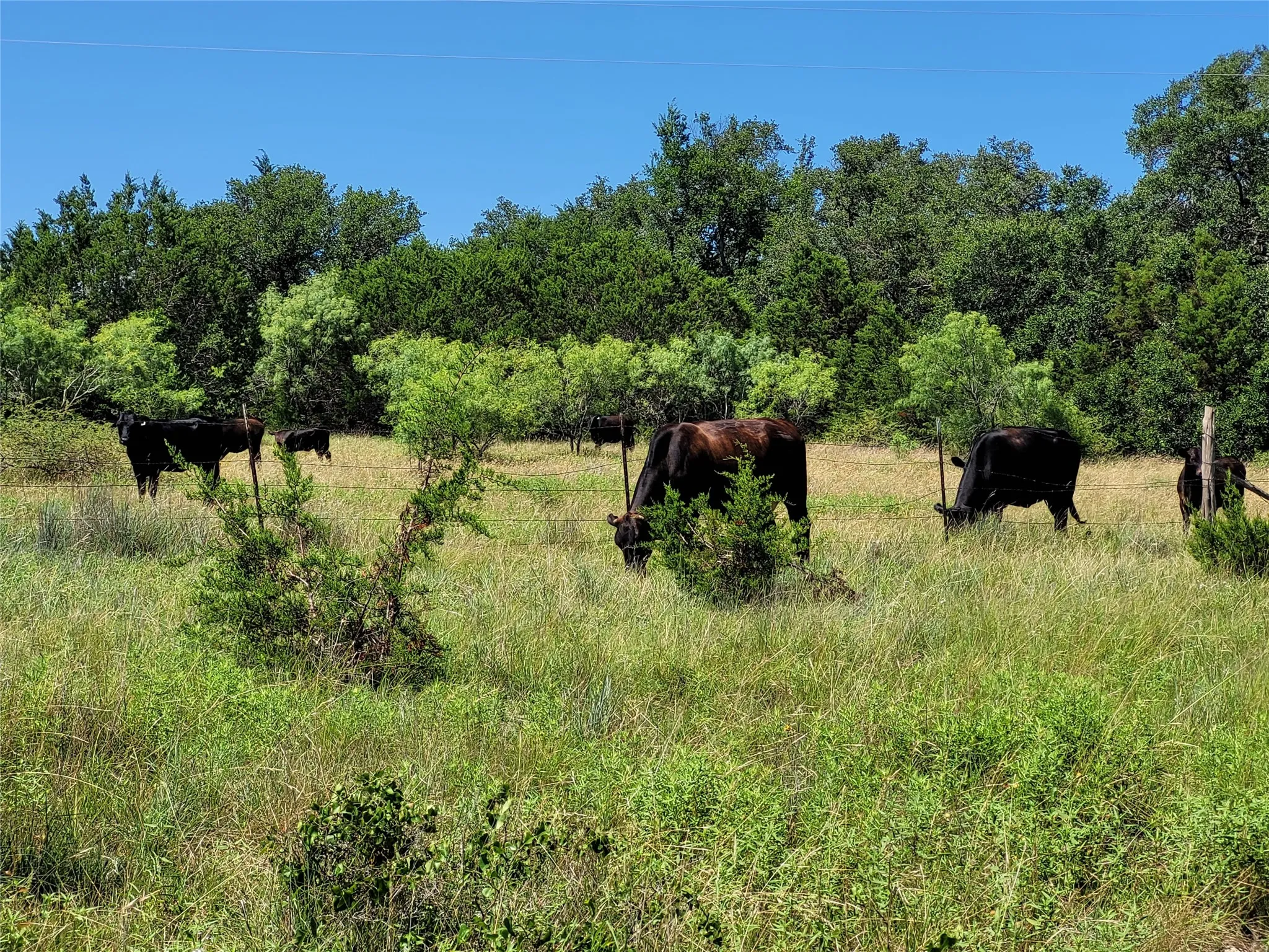 Ranch For Sale in Lampasas County , TBD County Road 1139 575 Acres, Lampasas, Texas 76550, 0, 0, Garage spaces, 0 Sqft, built in 0, mls#21314088, Real Estate Agent in Lampasas, Homes For Sale in Lampasas county, Homes For Sale in Lampasas, Realtor in Lampasas Texas, Real Estate Brokerage Independent Realty Texas, Luminita Cordes Realtor