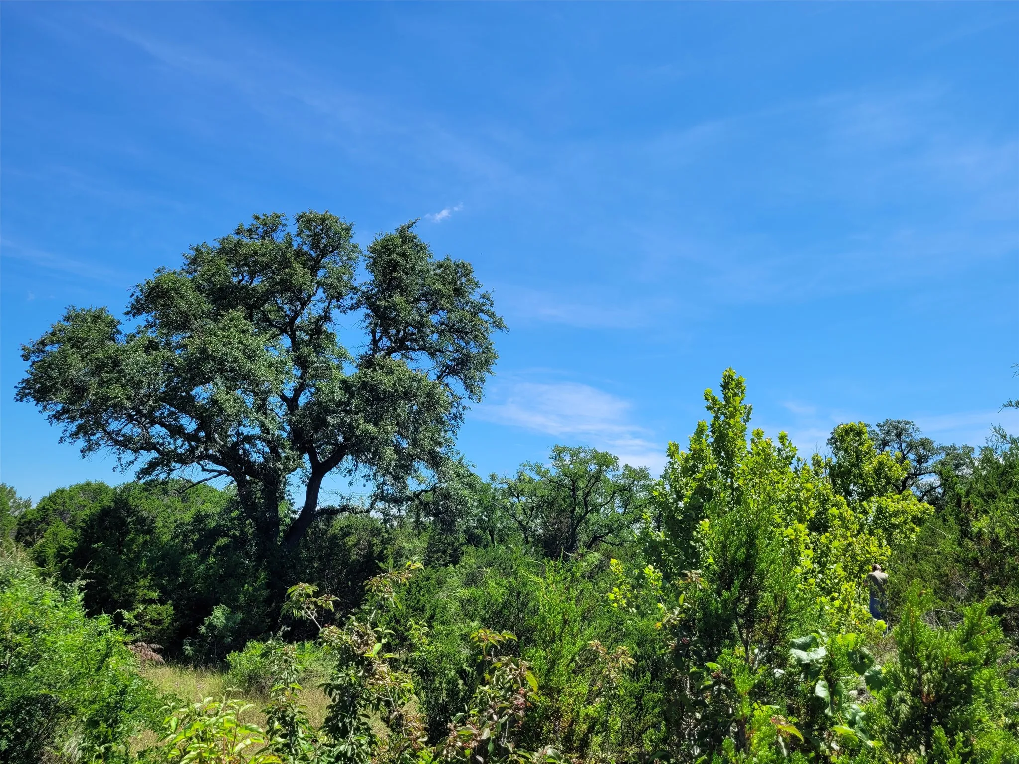 Ranch For Sale in Lampasas County , TBD County Road 1139 575 Acres, Lampasas, Texas 76550, 0, 0, Garage spaces, 0 Sqft, built in 0, mls#21314088, Real Estate Agent in Lampasas, Homes For Sale in Lampasas county, Homes For Sale in Lampasas, Realtor in Lampasas Texas, Real Estate Brokerage Independent Realty Texas, Luminita Cordes Realtor
