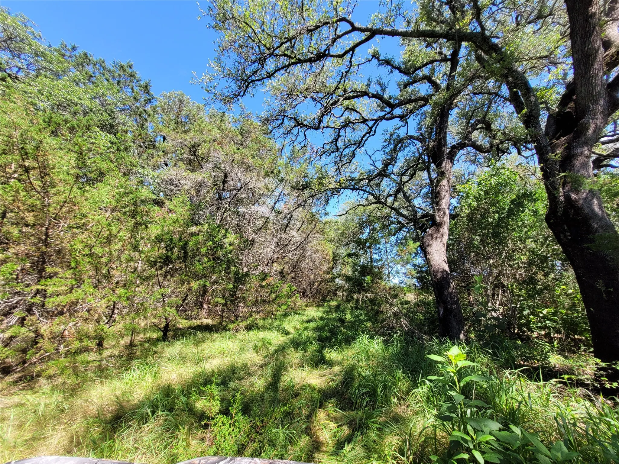 Ranch For Sale in Lampasas County , TBD County Road 1139 575 Acres, Lampasas, Texas 76550, 0, 0, Garage spaces, 0 Sqft, built in 0, mls#21314088, Real Estate Agent in Lampasas, Homes For Sale in Lampasas county, Homes For Sale in Lampasas, Realtor in Lampasas Texas, Real Estate Brokerage Independent Realty Texas, Luminita Cordes Realtor