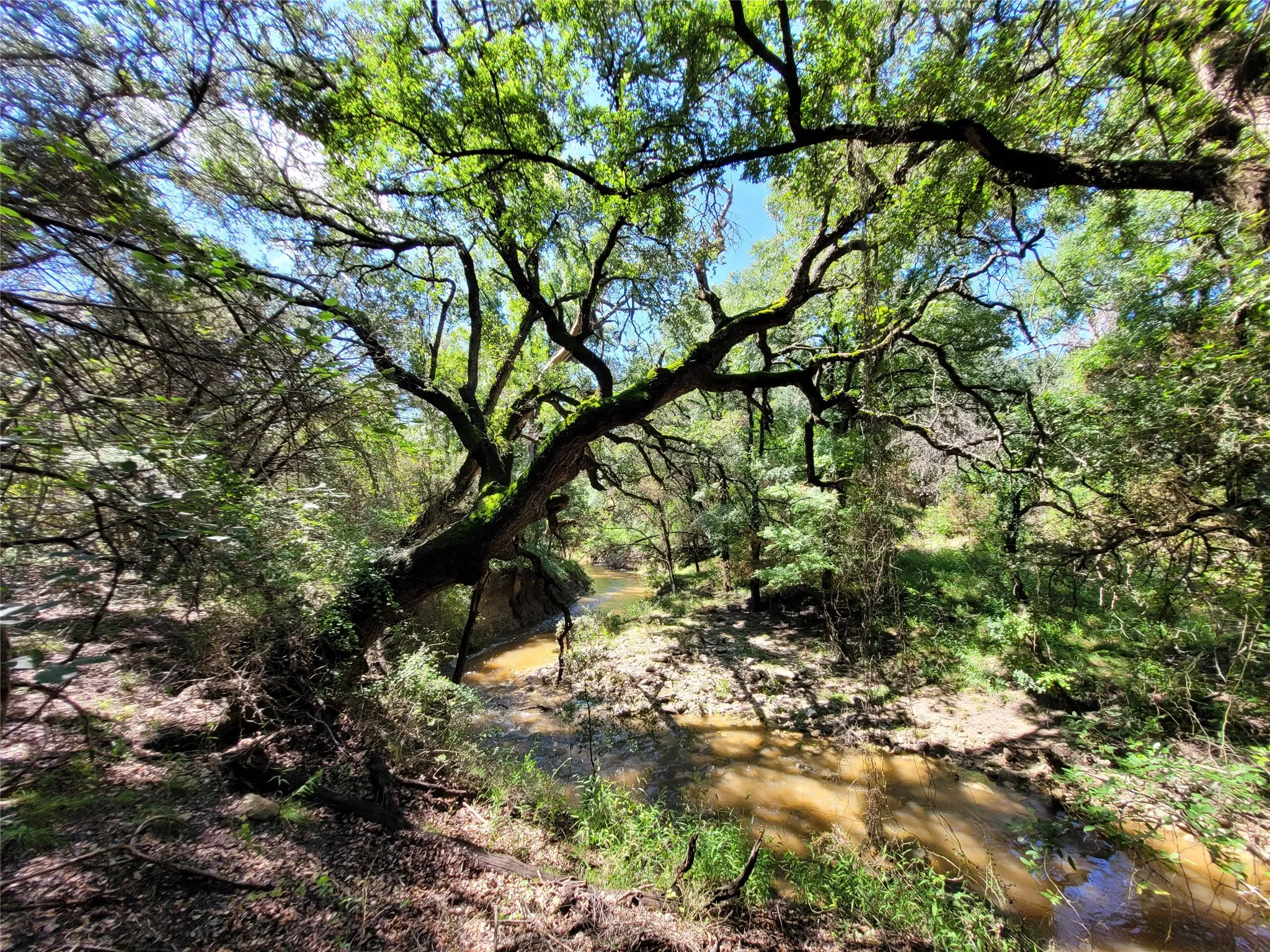 Ranch For Sale in Lampasas County , TBD County Road 1139 575 Acres, Lampasas, Texas 76550, 0, 0, Garage spaces, 0 Sqft, built in 0, mls#21314088, Real Estate Agent in Lampasas, Homes For Sale in Lampasas county, Homes For Sale in Lampasas, Realtor in Lampasas Texas, Real Estate Brokerage Independent Realty Texas, Luminita Cordes Realtor