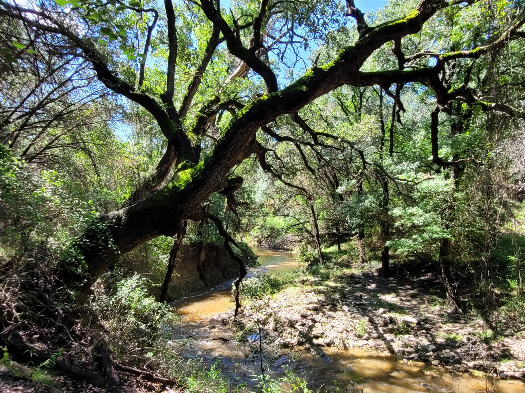 Ranch For Sale in Lampasas County , TBD County Road 1139 575 Acres, Lampasas, Texas 76550, 0, 0, Garage spaces, 0 Sqft, built in 0, mls#21314088, Real Estate Agent in Lampasas, Homes For Sale in Lampasas county, Homes For Sale in Lampasas, Realtor in Lampasas Texas, Real Estate Brokerage Independent Realty Texas, Luminita Cordes Realtor
