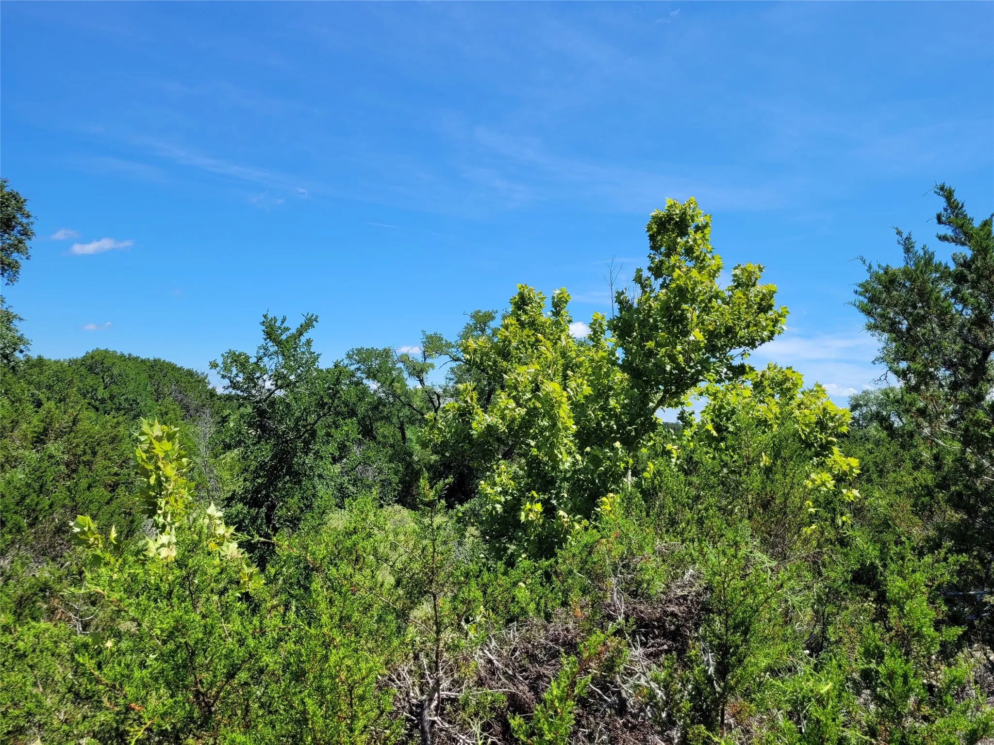 Ranch For Sale in Lampasas County , TBD County Road 1139 575 Acres, Lampasas, Texas 76550, 0, 0, Garage spaces, 0 Sqft, built in 0, mls#21314088, Real Estate Agent in Lampasas, Homes For Sale in Lampasas county, Homes For Sale in Lampasas, Realtor in Lampasas Texas, Real Estate Brokerage Independent Realty Texas, Luminita Cordes Realtor