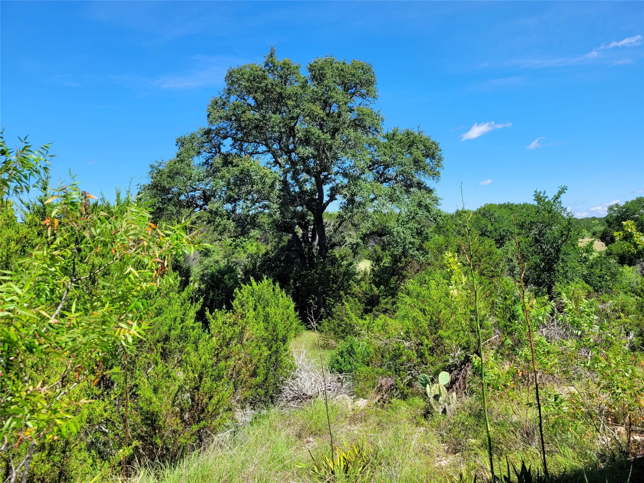 Ranch For Sale in Lampasas County , TBD County Road 1139 575 Acres, Lampasas, Texas 76550, 0, 0, Garage spaces, 0 Sqft, built in 0, mls#21314088, Real Estate Agent in Lampasas, Homes For Sale in Lampasas county, Homes For Sale in Lampasas, Realtor in Lampasas Texas, Real Estate Brokerage Independent Realty Texas, Luminita Cordes Realtor